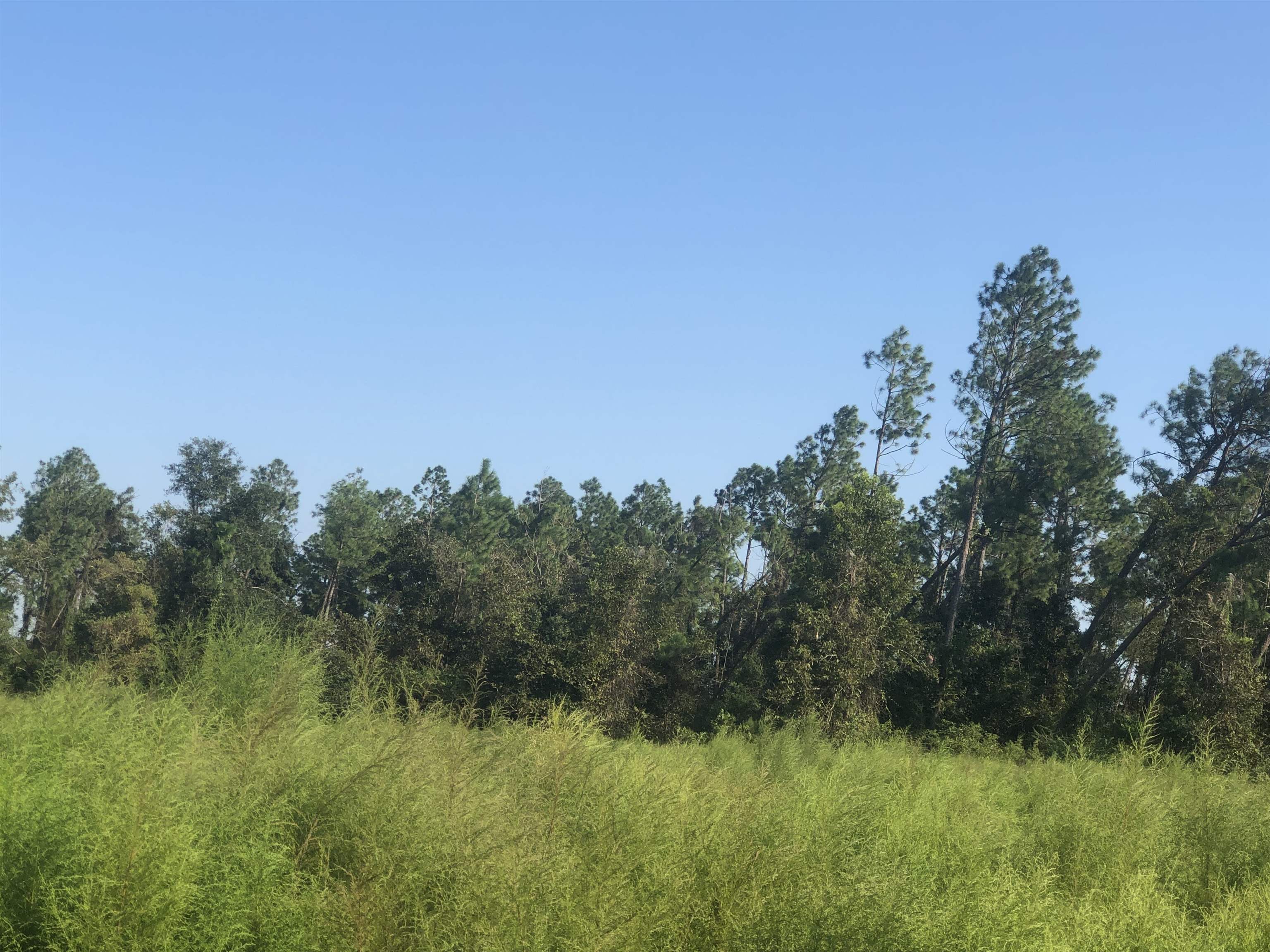 95 County Road Elberta, AL 36530 - Photo 2 of 6
