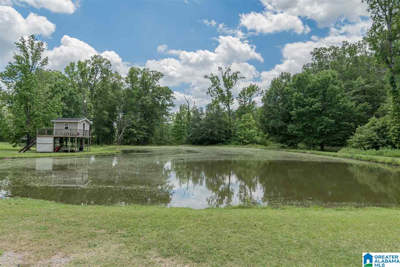 6329 Pocahontas Road Bessemer, AL 35022 - Photo 45 of 50