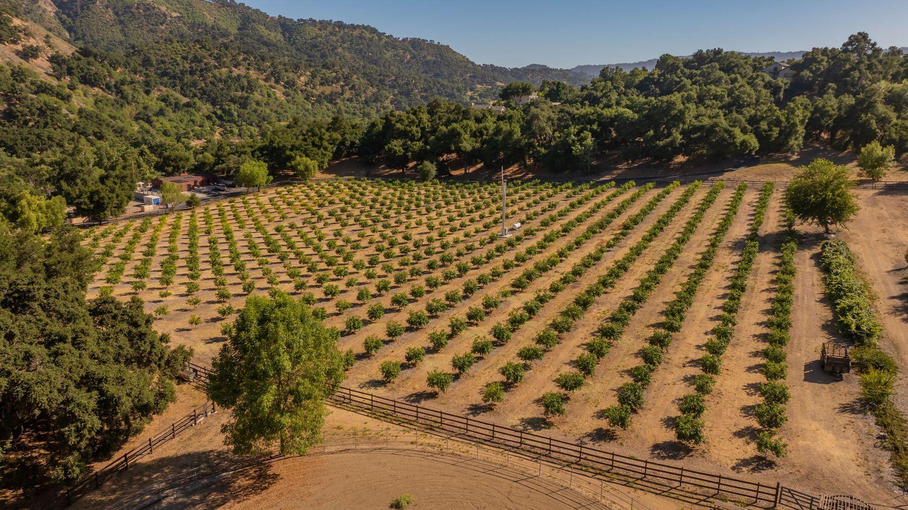 10883 Oak Knoll Road Ojai, CA 93023 - Photo 19 of 43 a view of a terrace