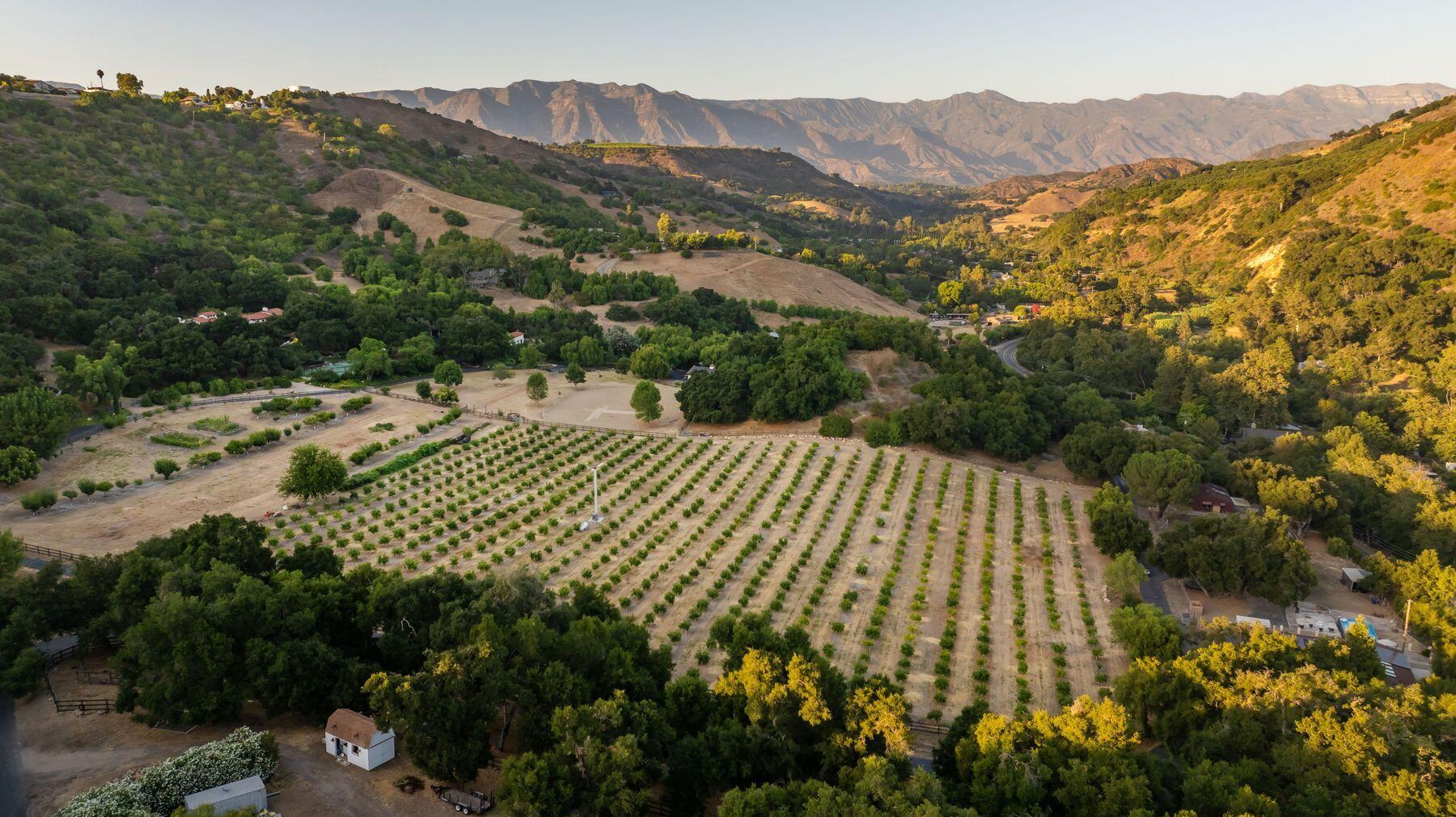 10883 Oak Knoll Road Ojai, CA 93023 - Photo 7 of 43 a view of outdoor space and city view