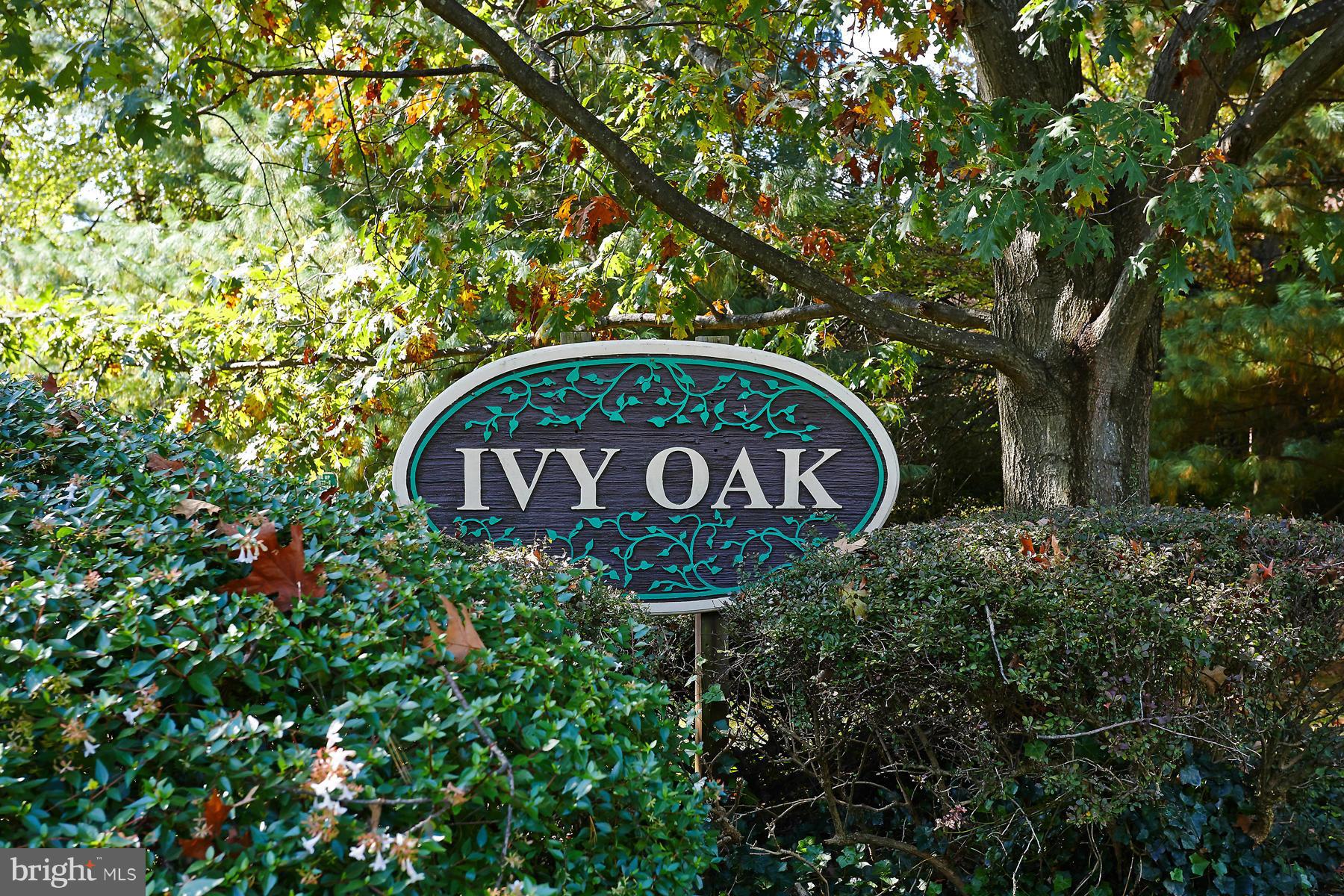 1701 Ivy Oak Square Reston, VA 20190 - Photo 3 of 26 Community