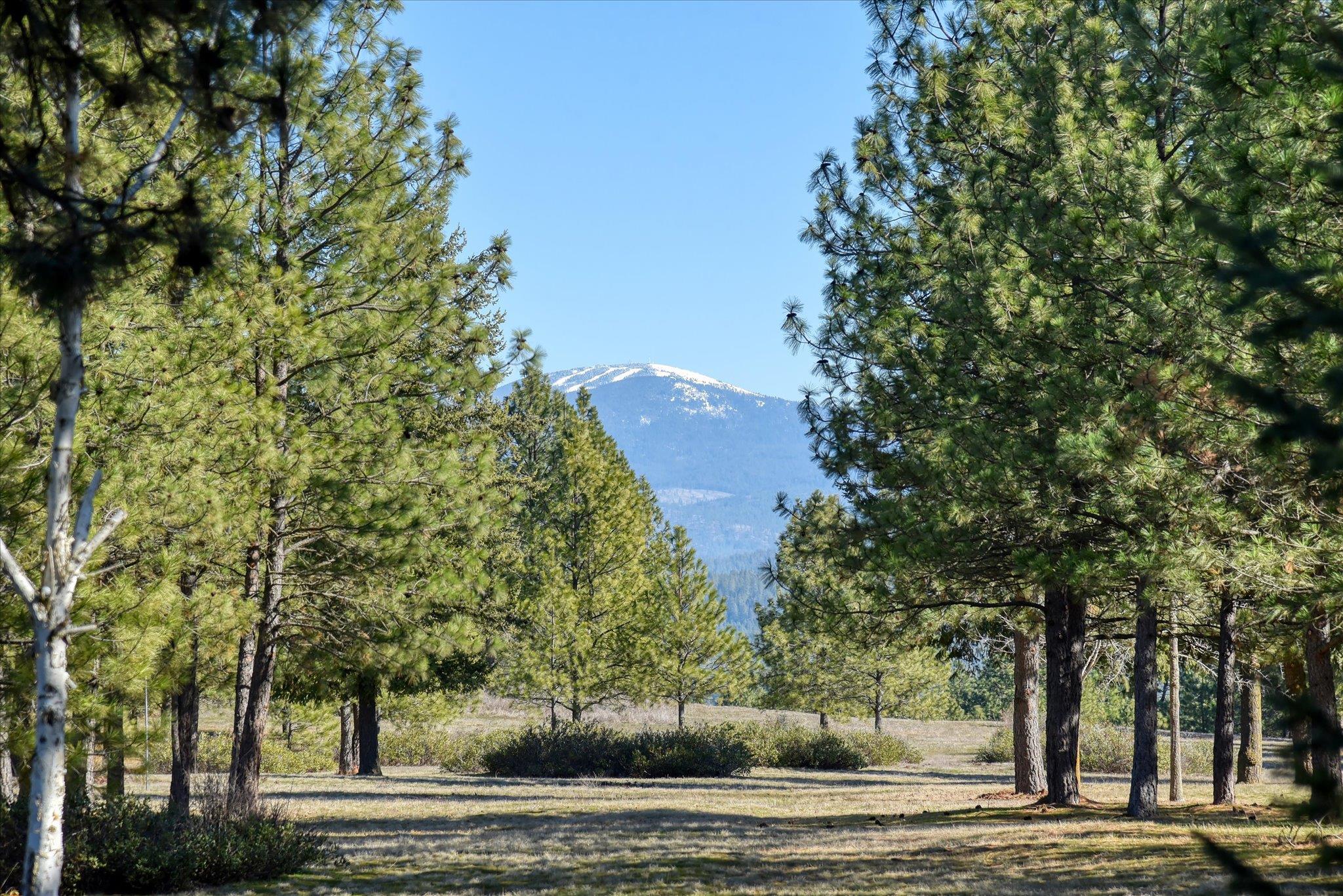 24616 North Wild Rose Lane Colbert, WA 99005 - Photo 3 of 50