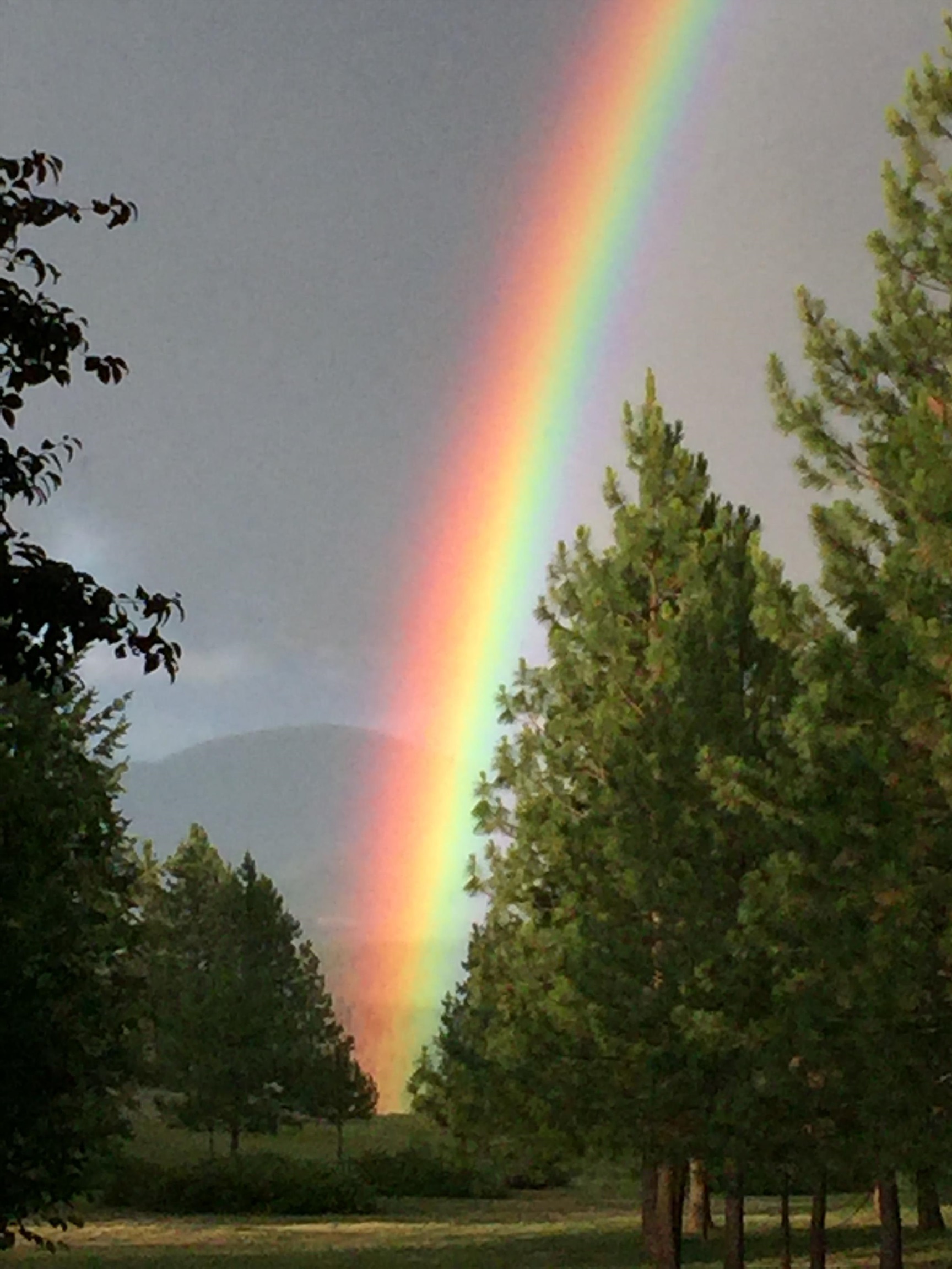 24616 North Wild Rose Lane Colbert, WA 99005 - Photo 47 of 50