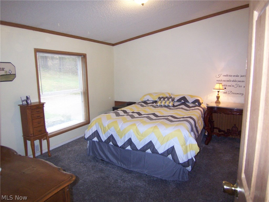 278 Windy Bush Road Walker, WV 26180 - Photo 8 of 26