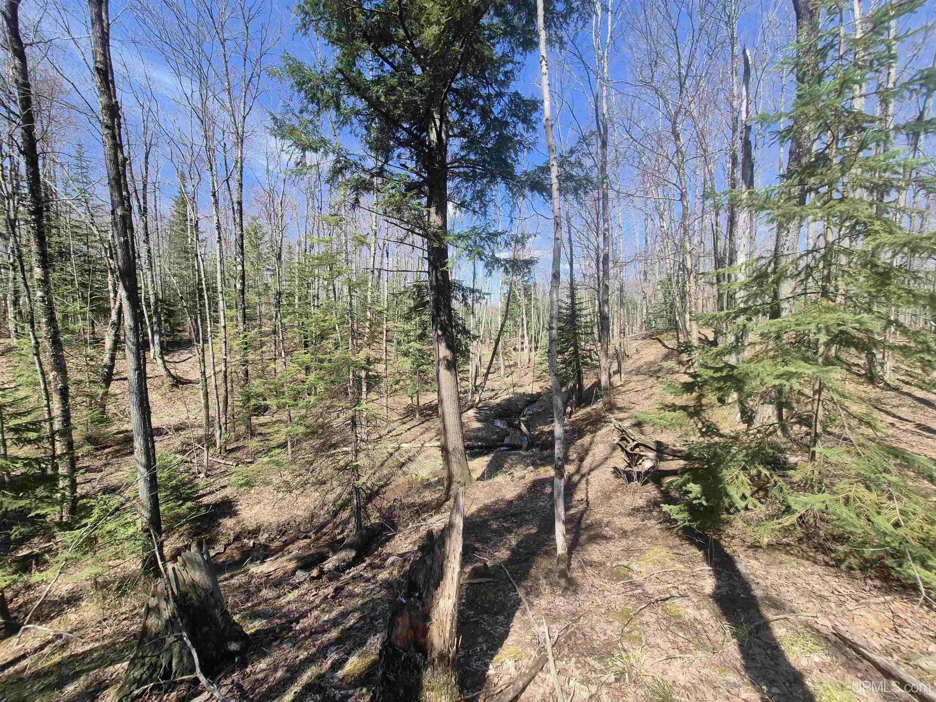 12-acres Salmon Road L'Anse, MI 49946 - Photo 18 of 39