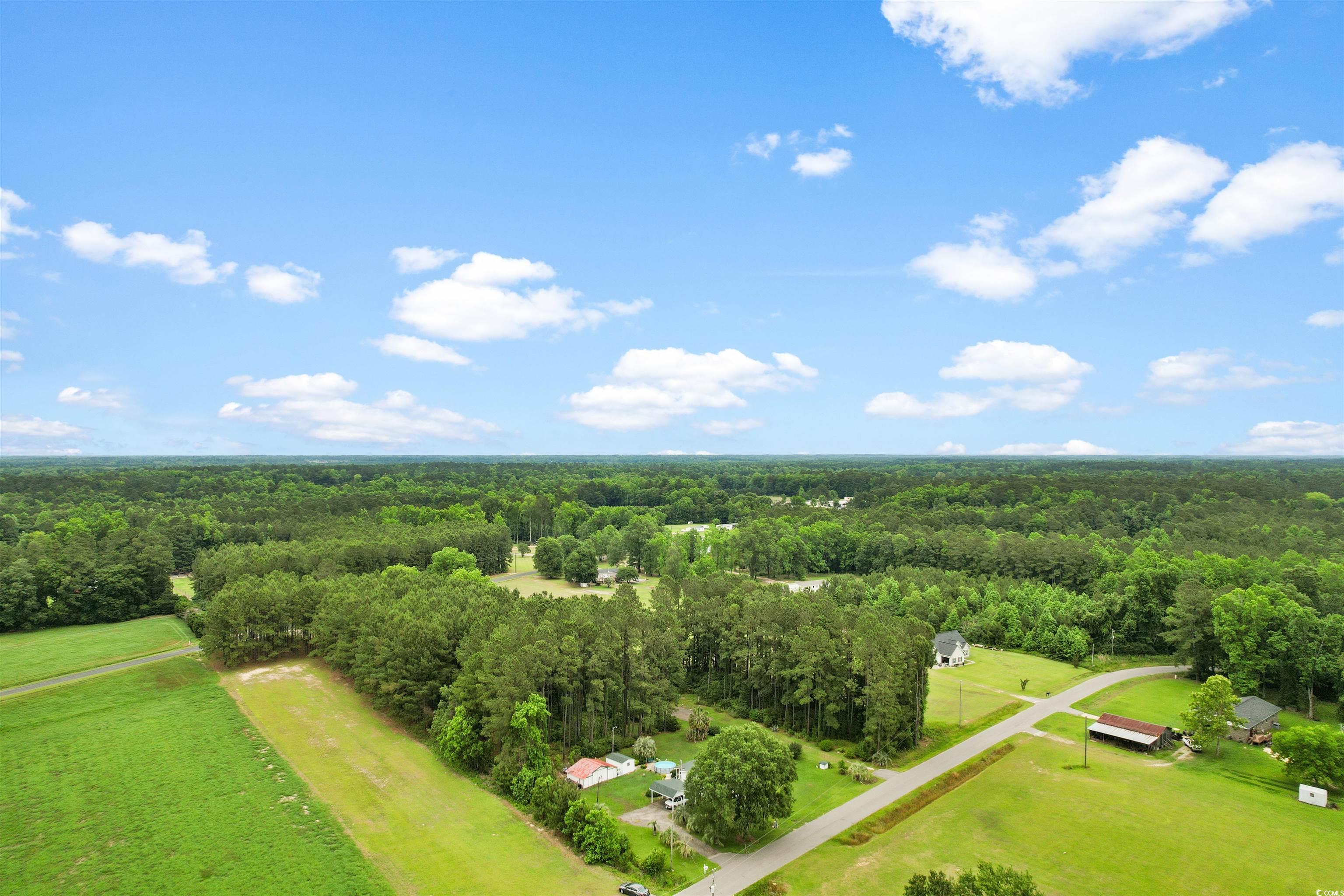 2340 Luck Road Galivants Ferry, SC 29544 - Photo 30 of 39 Gallery Image 30