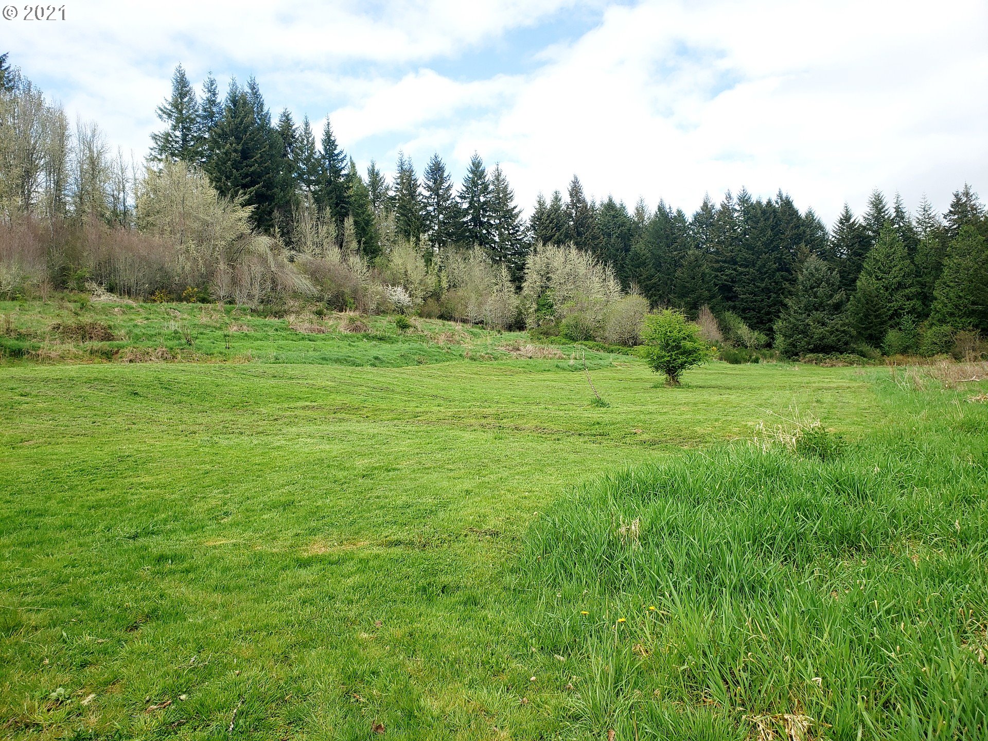 24215 Beaver Falls Road Rainier, OR 97048 - Photo 19 of 19