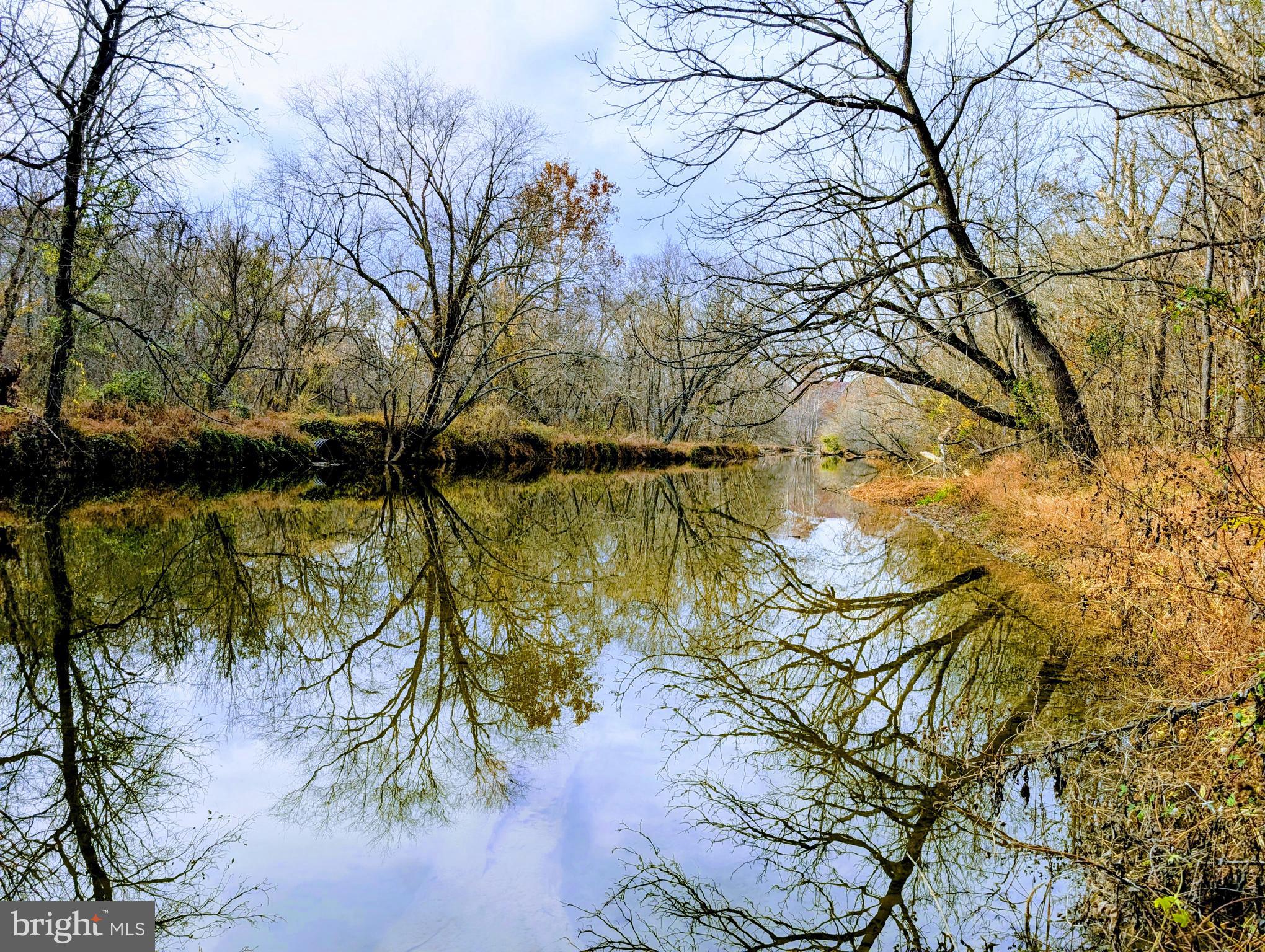 7403 Bear Branch Road Adamstown, MD 21710 - Photo 41 of 43 a view of lake with a tree
