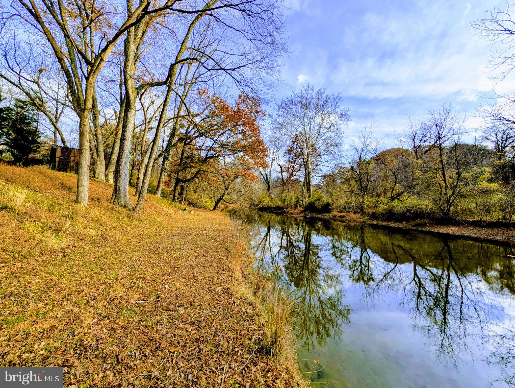7403 Bear Branch Road Adamstown, MD 21710 - Photo 42 of 43 a view of a lake with a yard