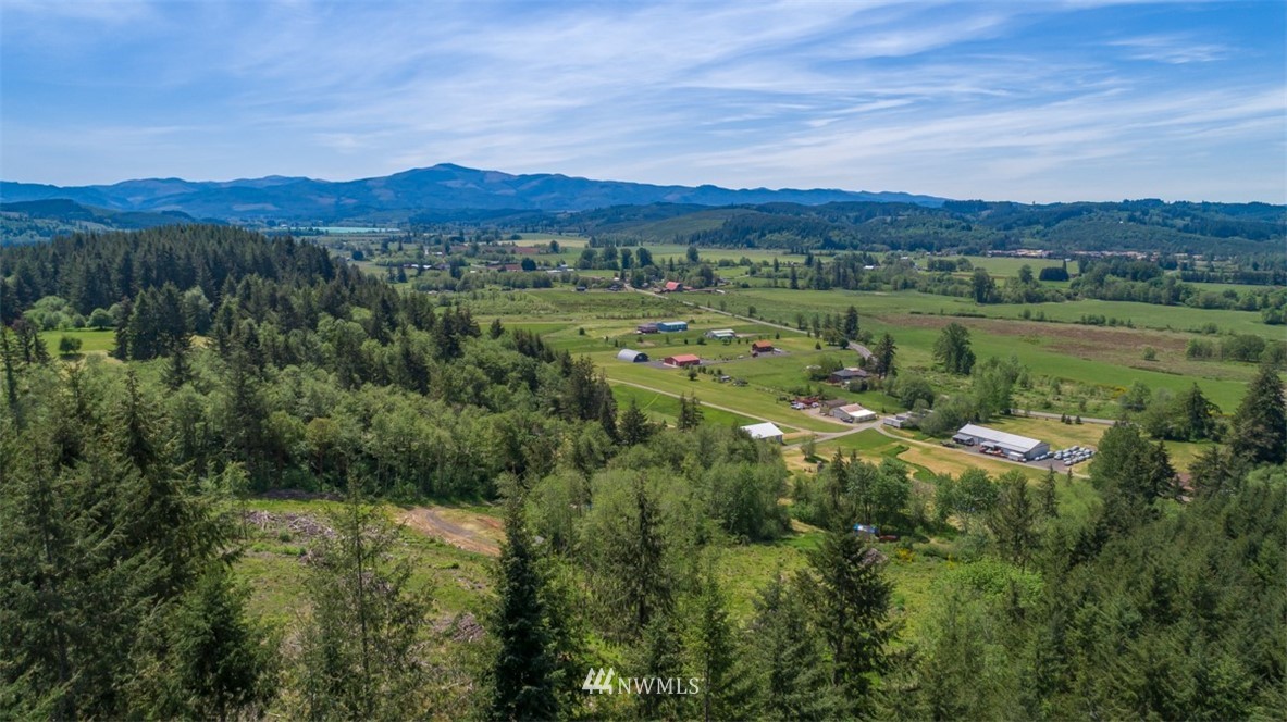 0 Curtis Hill Road Chehalis, WA 98532 - Photo 1 of 8