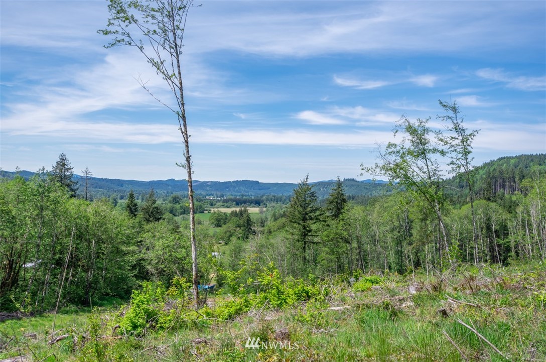 0 Curtis Hill Road Chehalis, WA 98532 - Photo 3 of 8