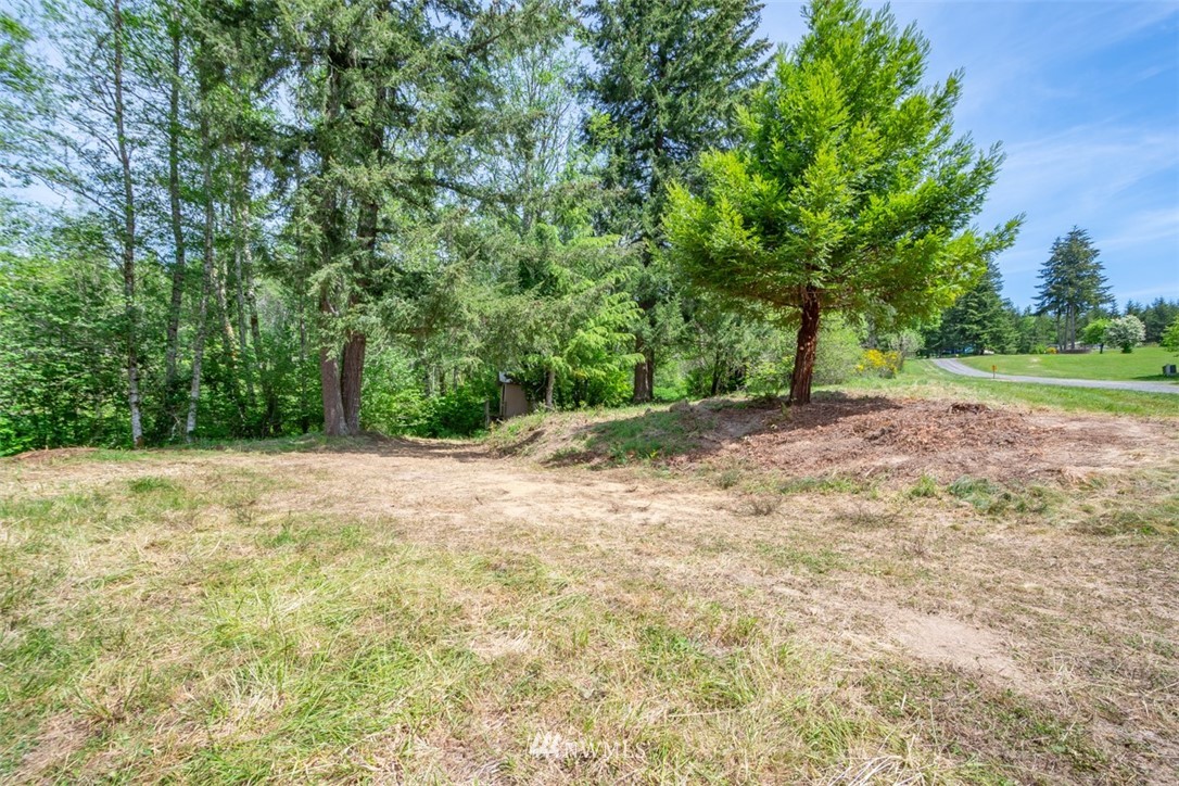 0 Curtis Hill Road Chehalis, WA 98532 - Photo 4 of 8