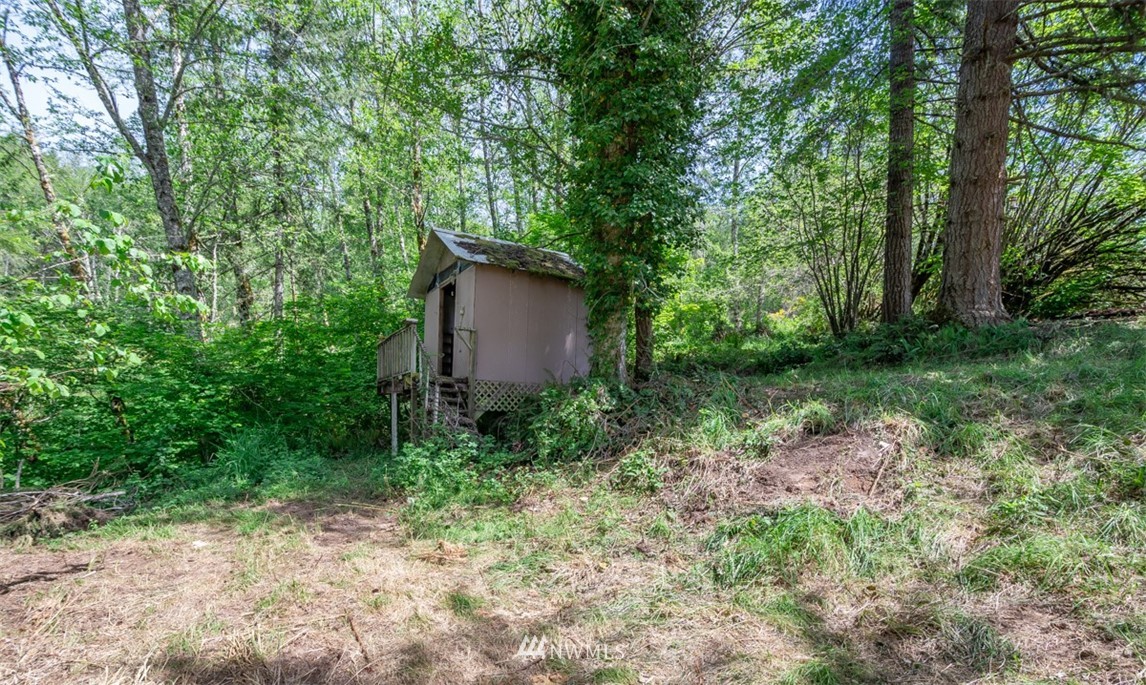 0 Curtis Hill Road Chehalis, WA 98532 - Photo 6 of 8