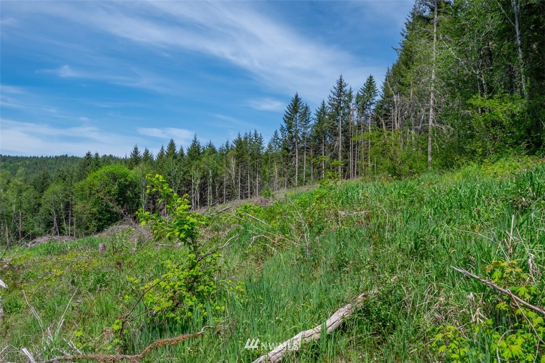 0 Curtis Hill Road Chehalis, WA 98532 - Photo 7 of 8