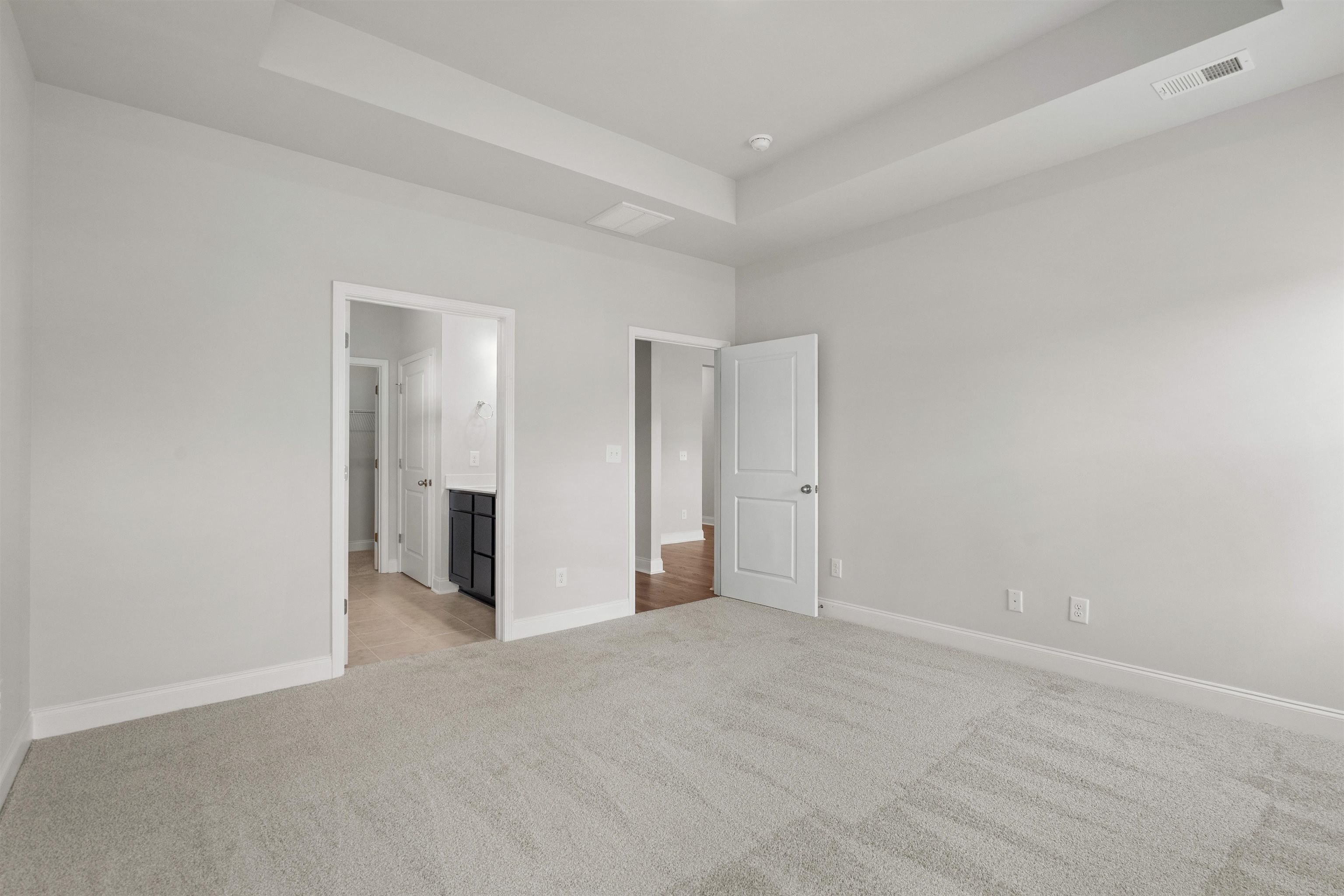 2495 Campton Loop Conway, SC 29527 - Photo 14 of 27 Unfurnished bedroom with a tray ceiling, ensuite bath, and light carpet
