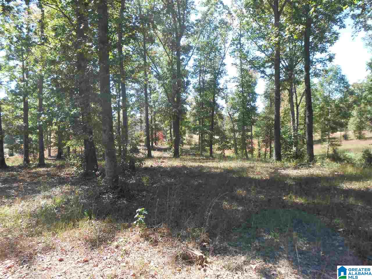 11 Highway Steele Al Steele, AL 35987 - Photo 6 of 8