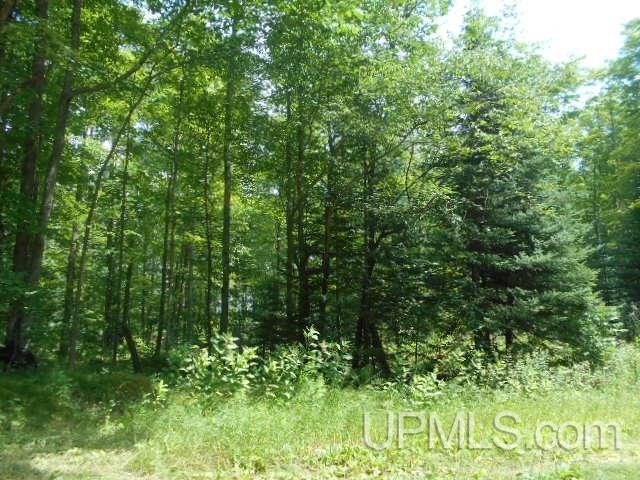 Tbd West Oneonta Drive, Unit 3 Goodman, WI 54125 - Photo 2 of 3