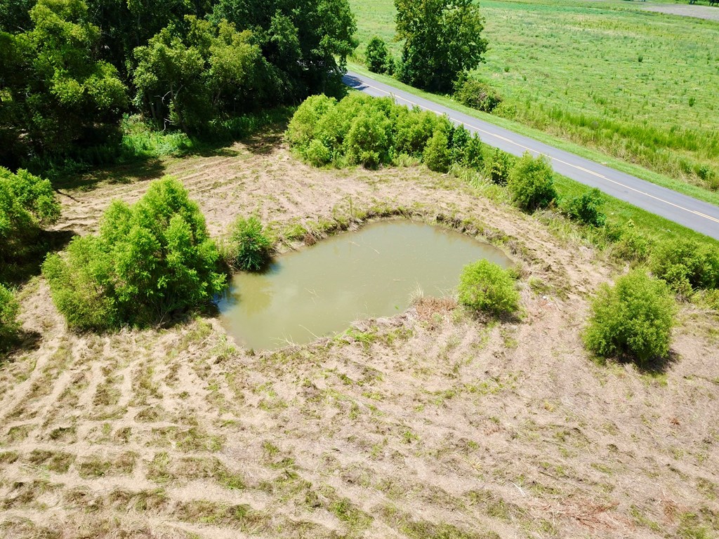 91 County Road 91 Slocomb, AL 36375 - Photo 8 of 18