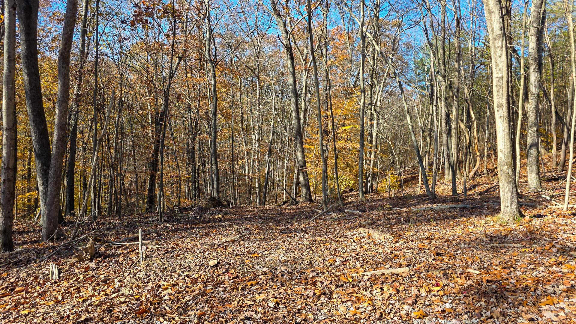 680 Nibert Road, Unit PONDS POPLAR RIDGE TRACT 10) Gallipolis, OH 45631 - Photo 28 of 46 CT-28