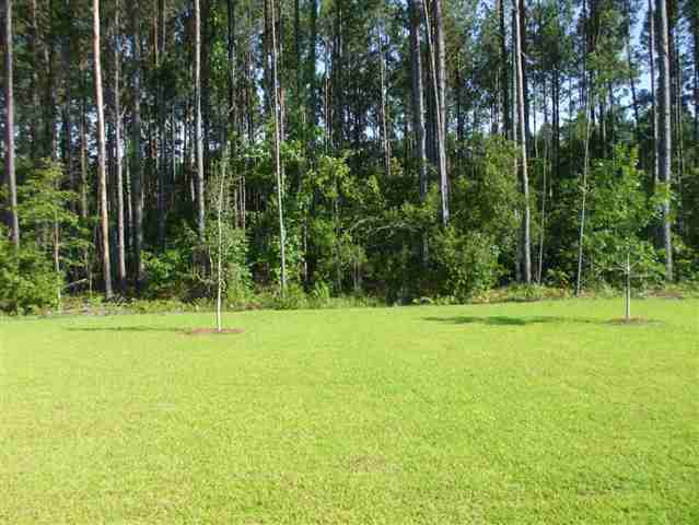 17 Trail Retreat Ridge Bluffton, SC 29910 - Photo 4 of 4 Additional Photo