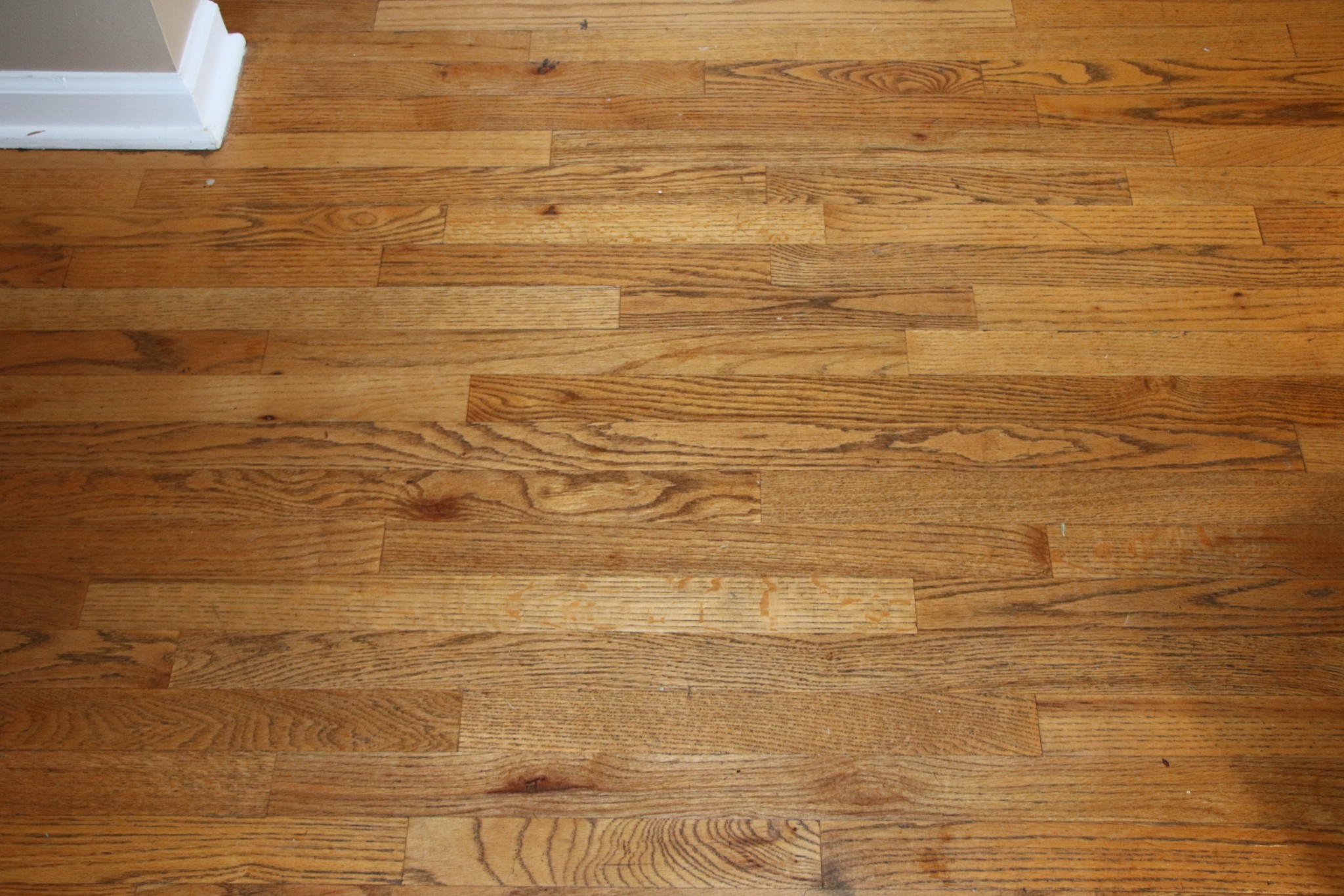 2873 Sweethome Road Chapmansboro, TN 37035 - Photo 12 of 21 Gallery Image 12
