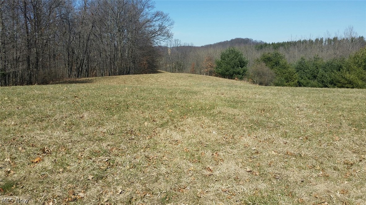 5693 Havers Road Newcomerstown, OH 43832 - Photo 29 of 35 Gallery Image 29