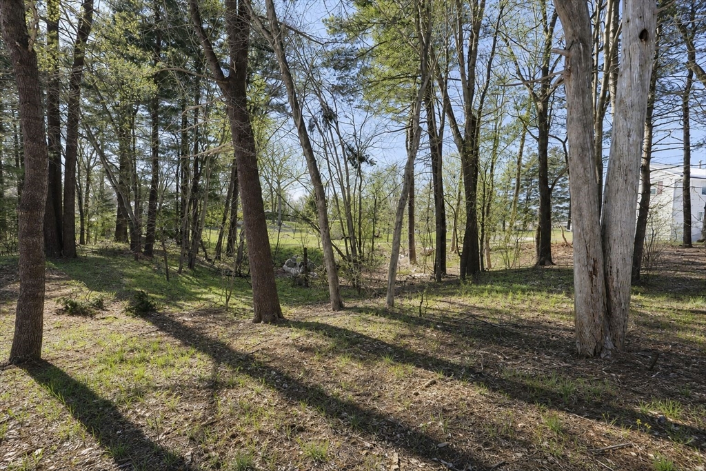 14 Leonard Lane Holbrook, MA 02343 - Photo 37 of 37