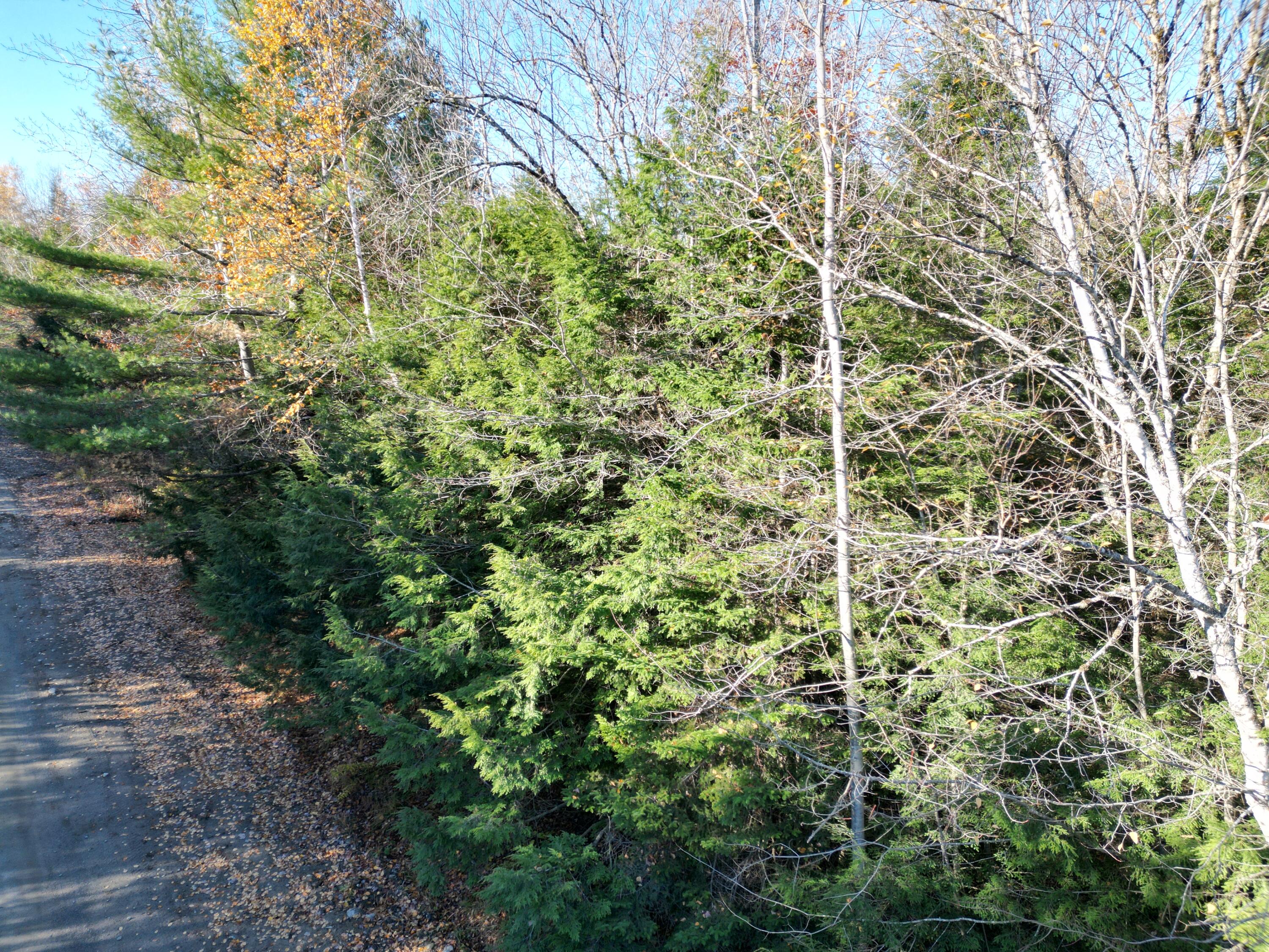 Lot 18-1 Mattamiscontis Road Howland, ME 04448 - Photo 16 of 16 DJI_0081