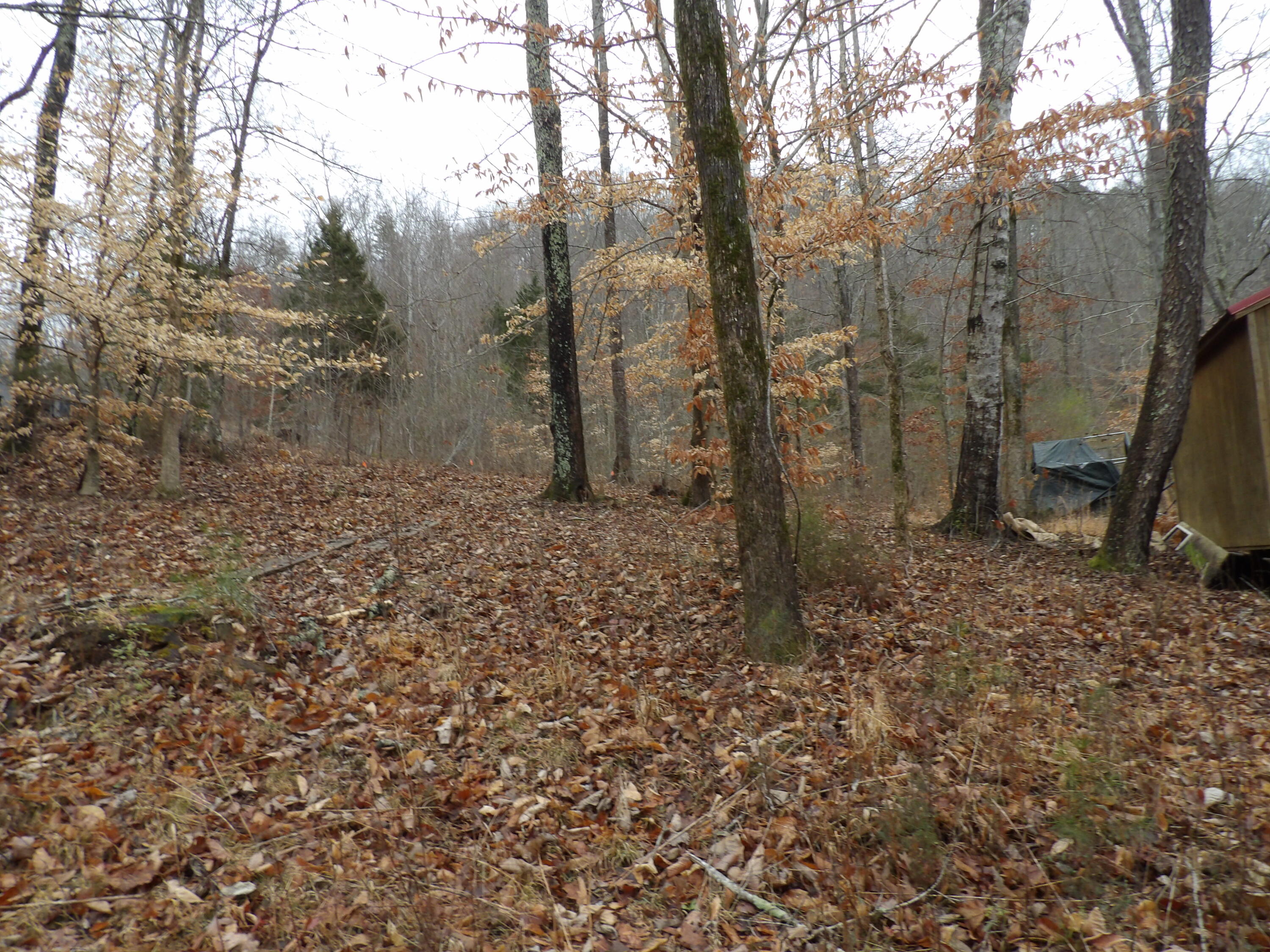 2602 Lower East Valley Road Dunlap, TN 37327 - Photo 9 of 28 100_2220