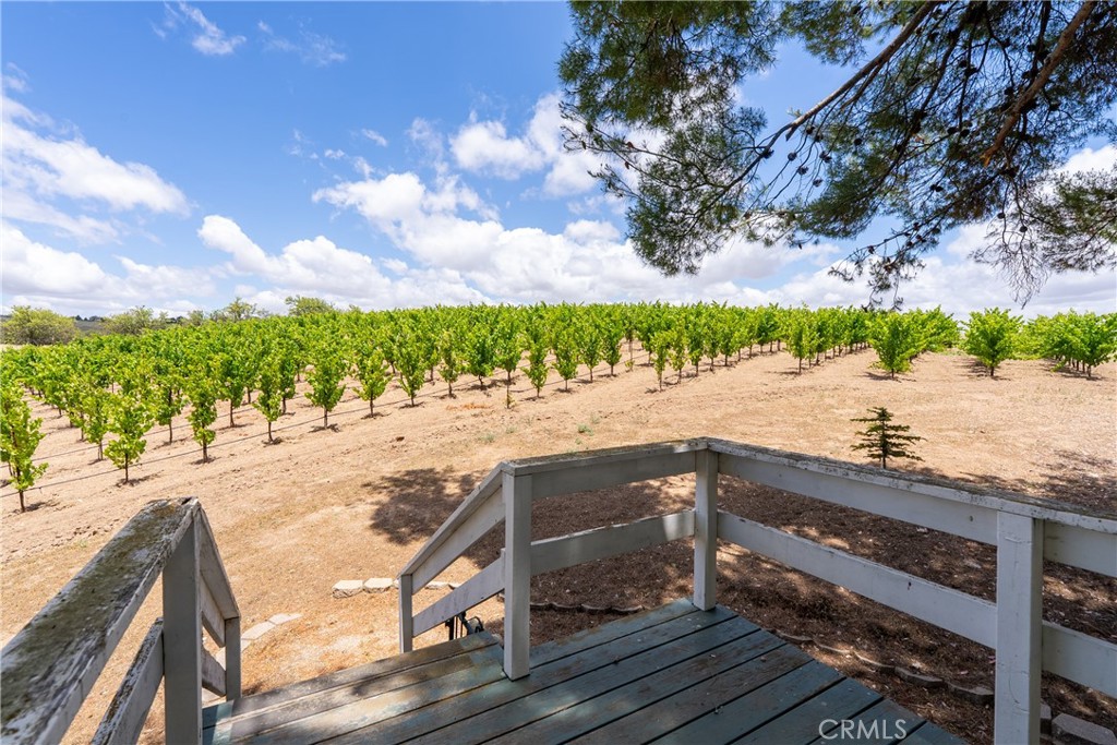 1618 Kiler Canyon Road Paso Robles, CA 93446 - Photo 40 of 62