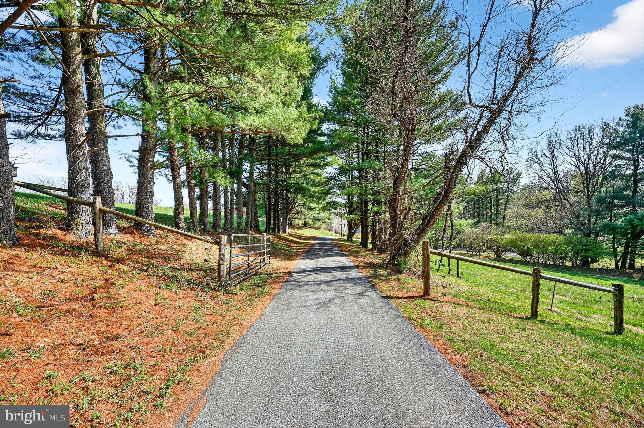 19635 Eagle Mill Road Parkton, MD 21120 - Photo 68 of 86 a view of a park with large trees