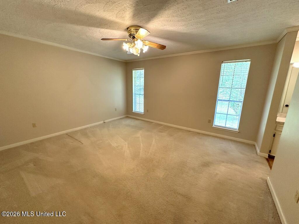 232 Forest Valley Drive Jackson, MS 39212 - Photo 12 of 23 12-IMG_4857