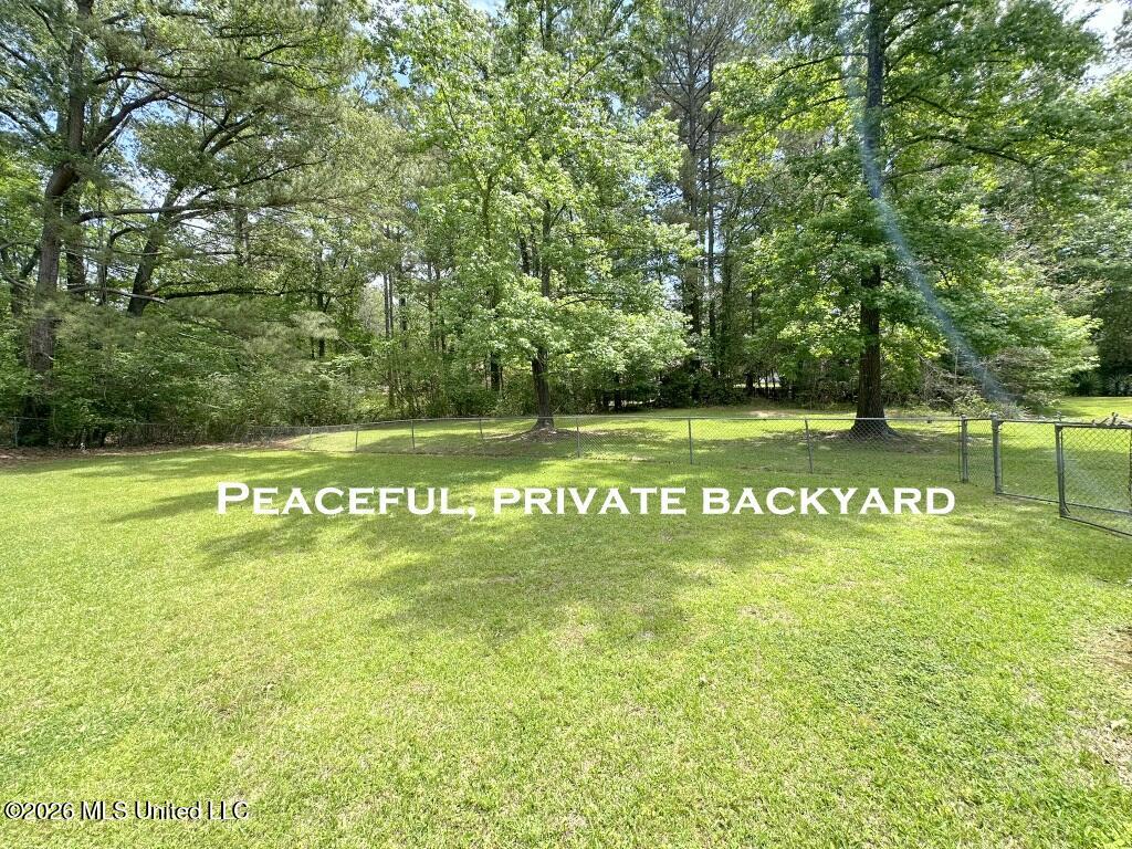 232 Forest Valley Drive Jackson, MS 39212 - Photo 17 of 23 Huge YARD!