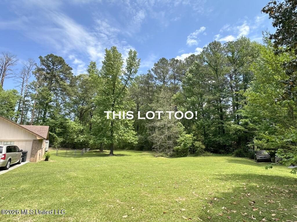 232 Forest Valley Drive Jackson, MS 39212 - Photo 22 of 23 Bonus Lot!
