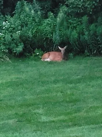 $497,000 | N6061 Summerglow Trail, Onalaska, WI 54650