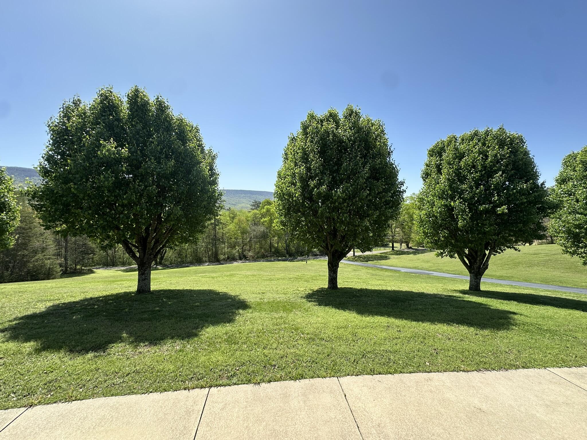 685 Lockhart Road Dunlap, TN 37327 - Photo 54 of 65 Front porch view
