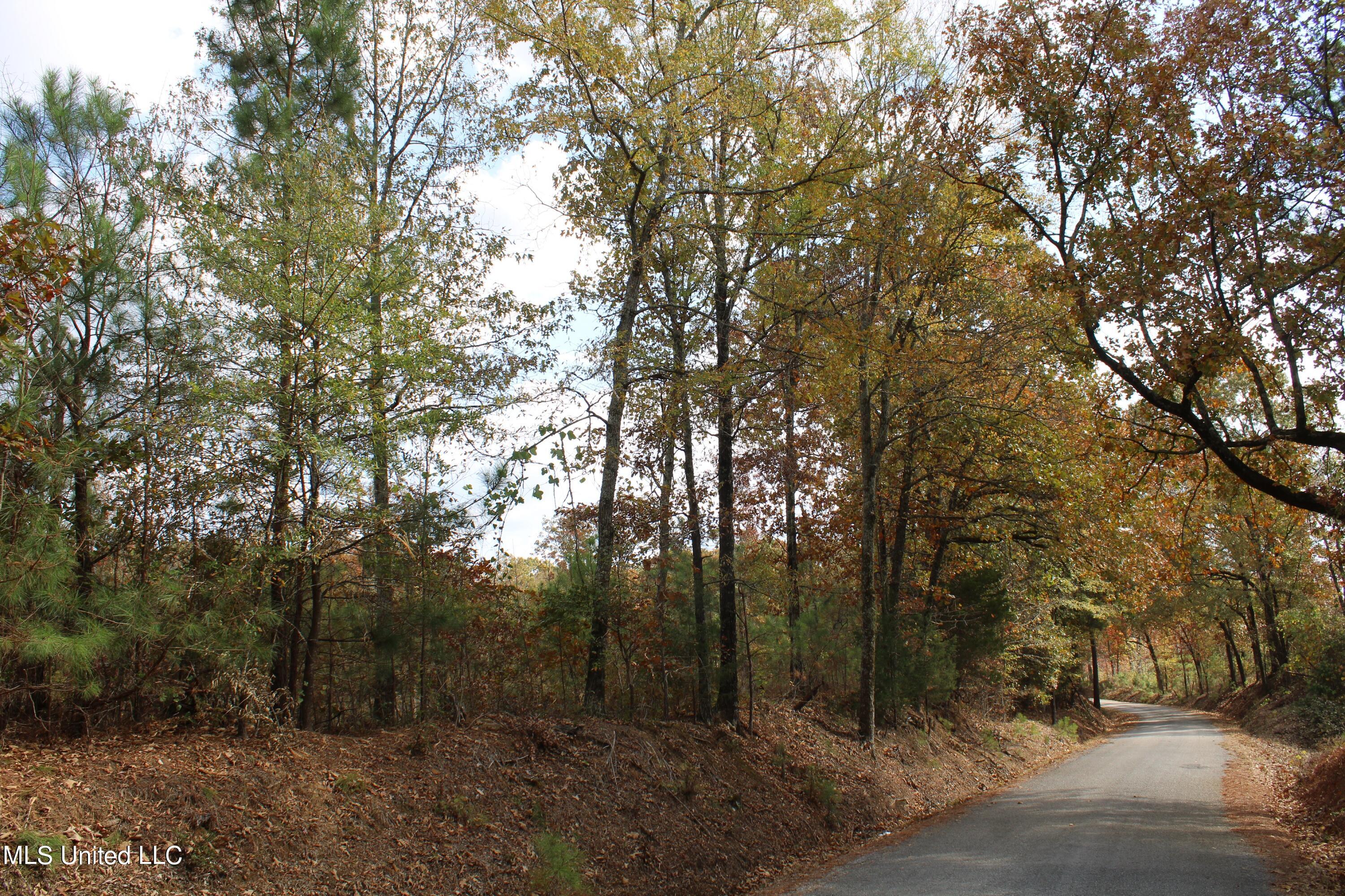 640 Atway Road Lamar, MS 38642 - Photo 13 of 14 IMG_0289