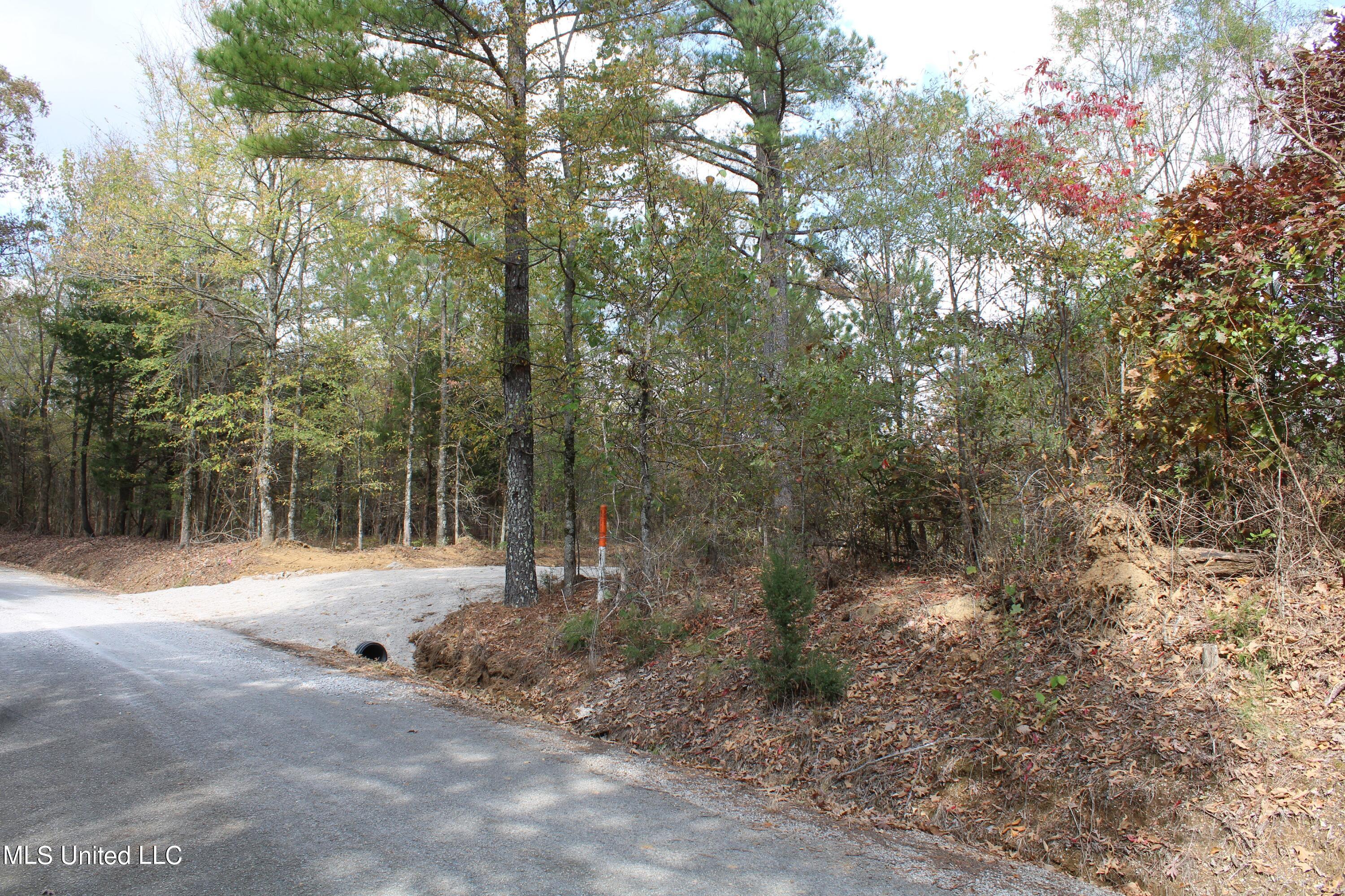 640 Atway Road Lamar, MS 38642 - Photo 14 of 14 IMG_0290