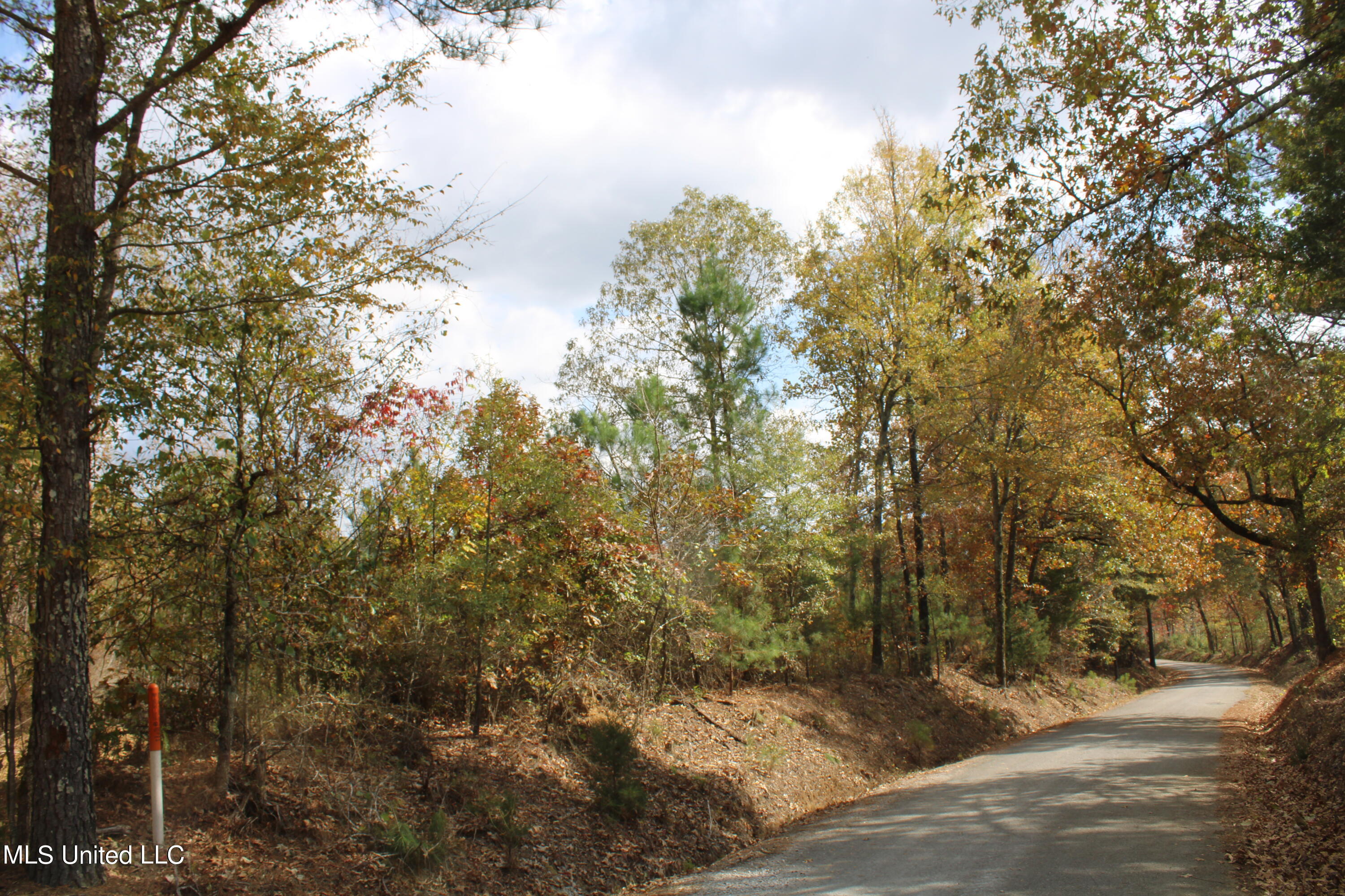 640 Atway Road Lamar, MS 38642 - Photo 2 of 14 IMG_0278