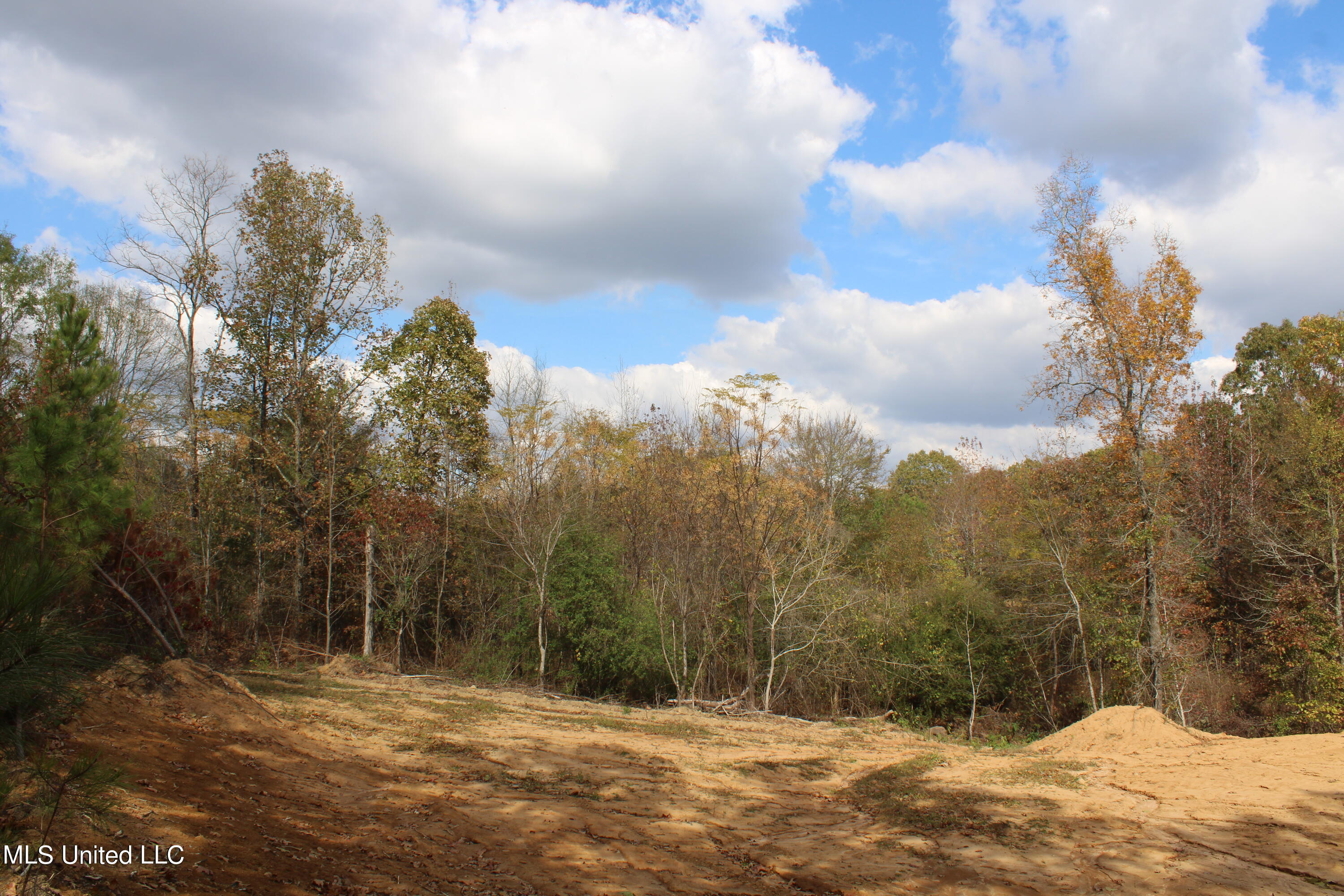 640 Atway Road Lamar, MS 38642 - Photo 3 of 14 IMG_0281