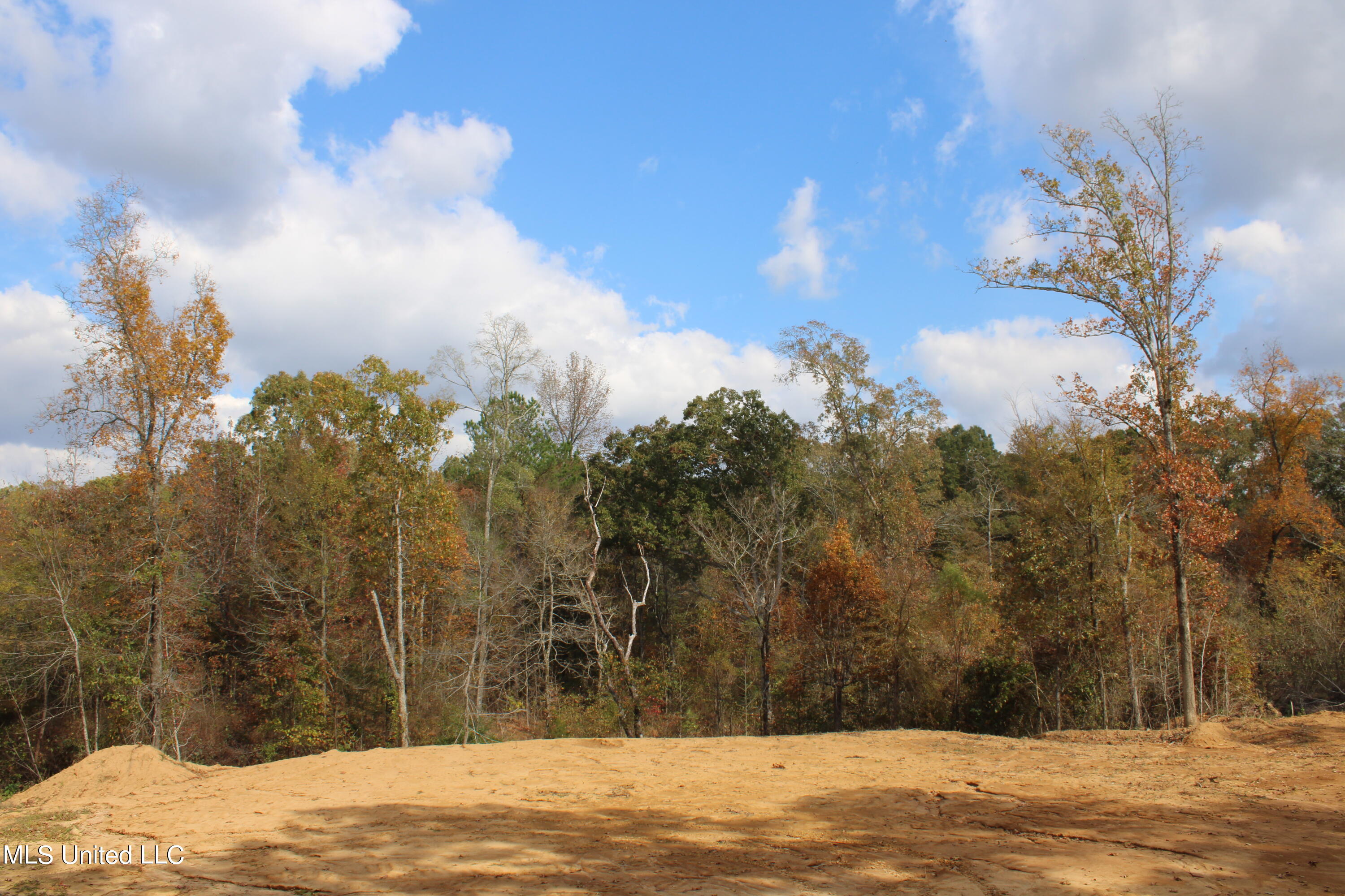 640 Atway Road Lamar, MS 38642 - Photo 4 of 14 IMG_0282
