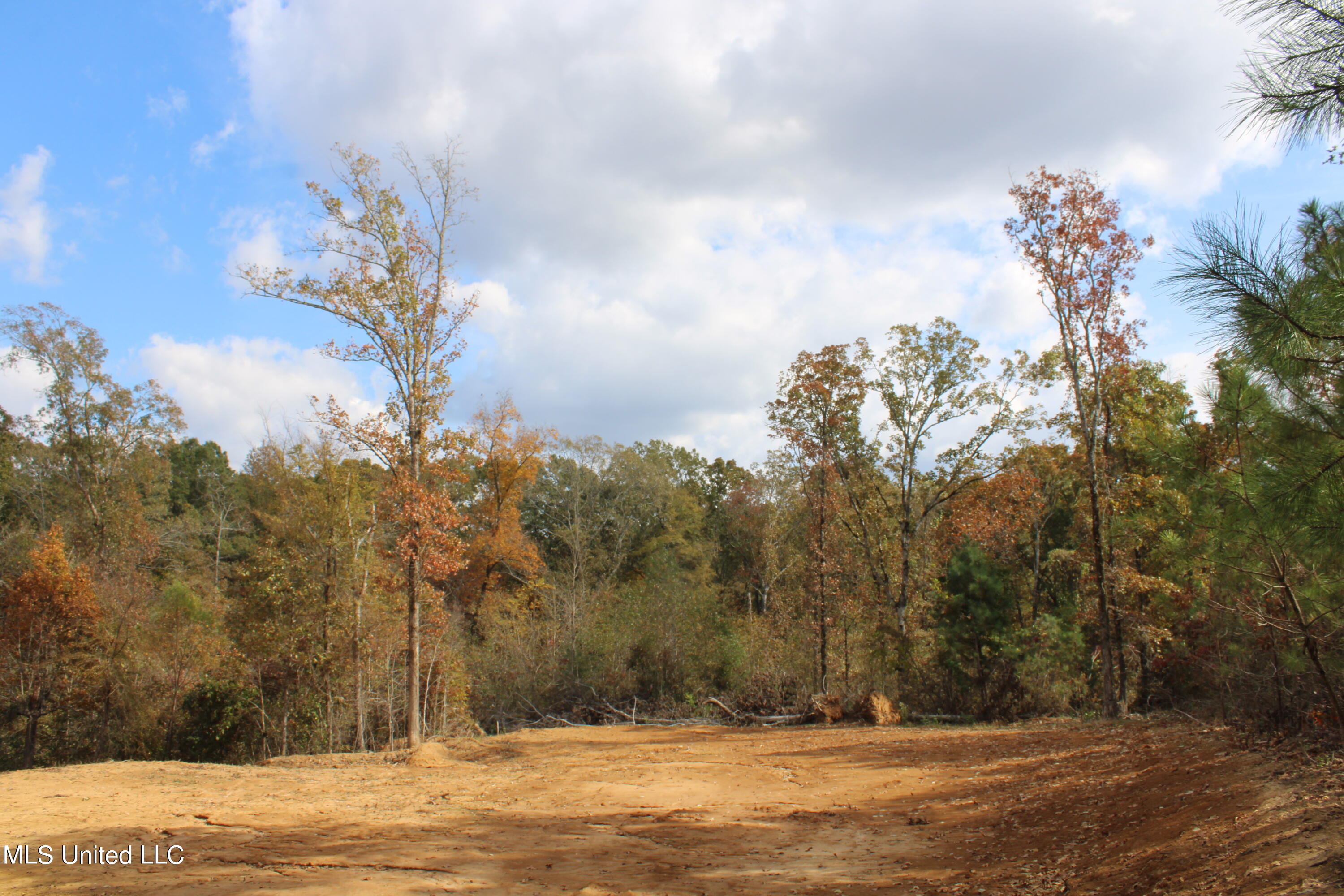 640 Atway Road Lamar, MS 38642 - Photo 5 of 14 IMG_0283