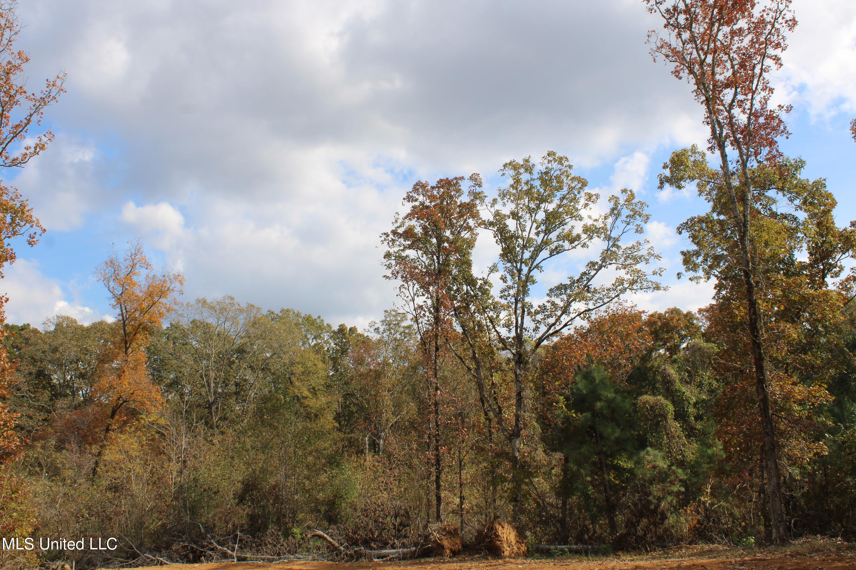 640 Atway Road Lamar, MS 38642 - Photo 6 of 14 IMG_0284