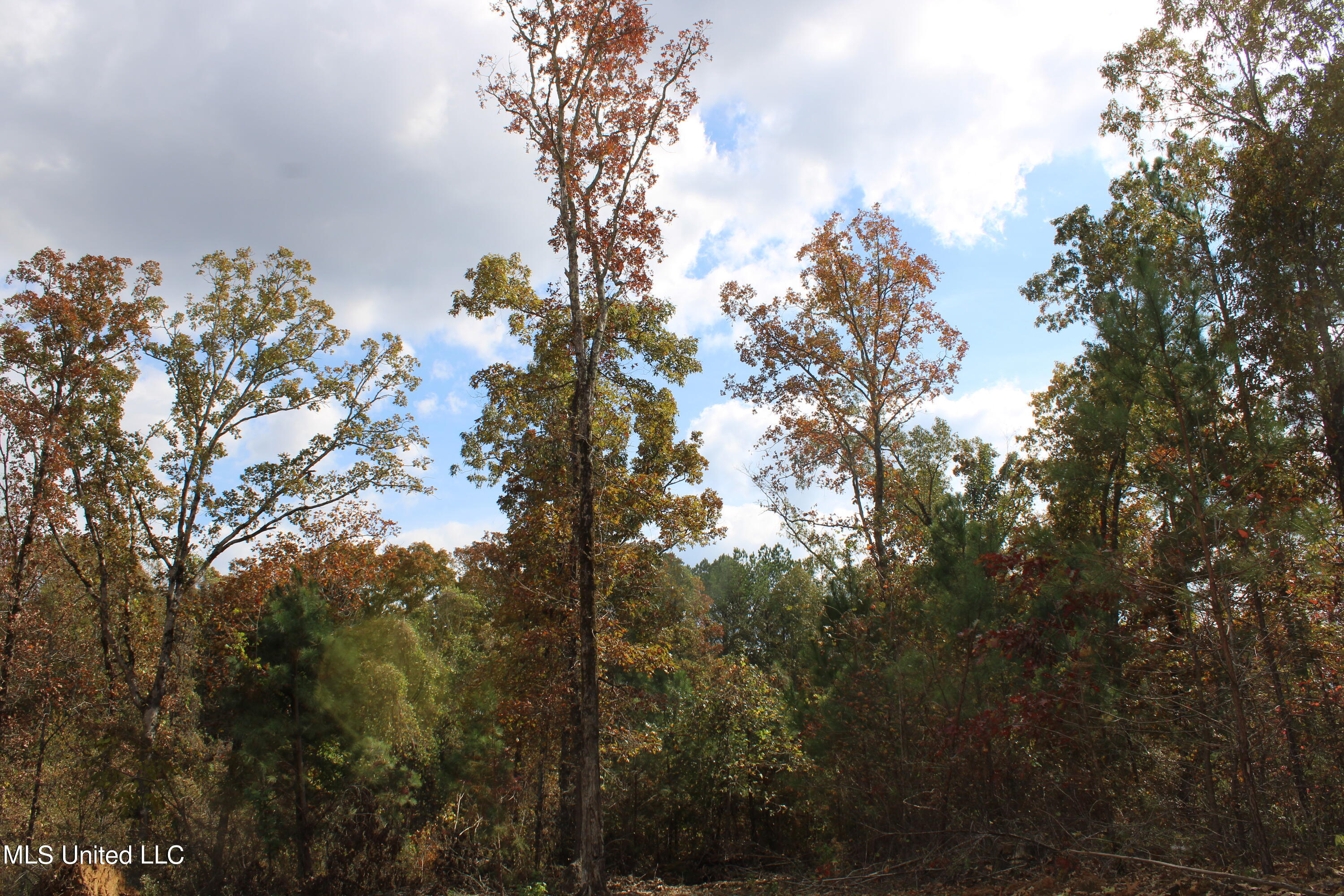 640 Atway Road Lamar, MS 38642 - Photo 7 of 14 IMG_0285