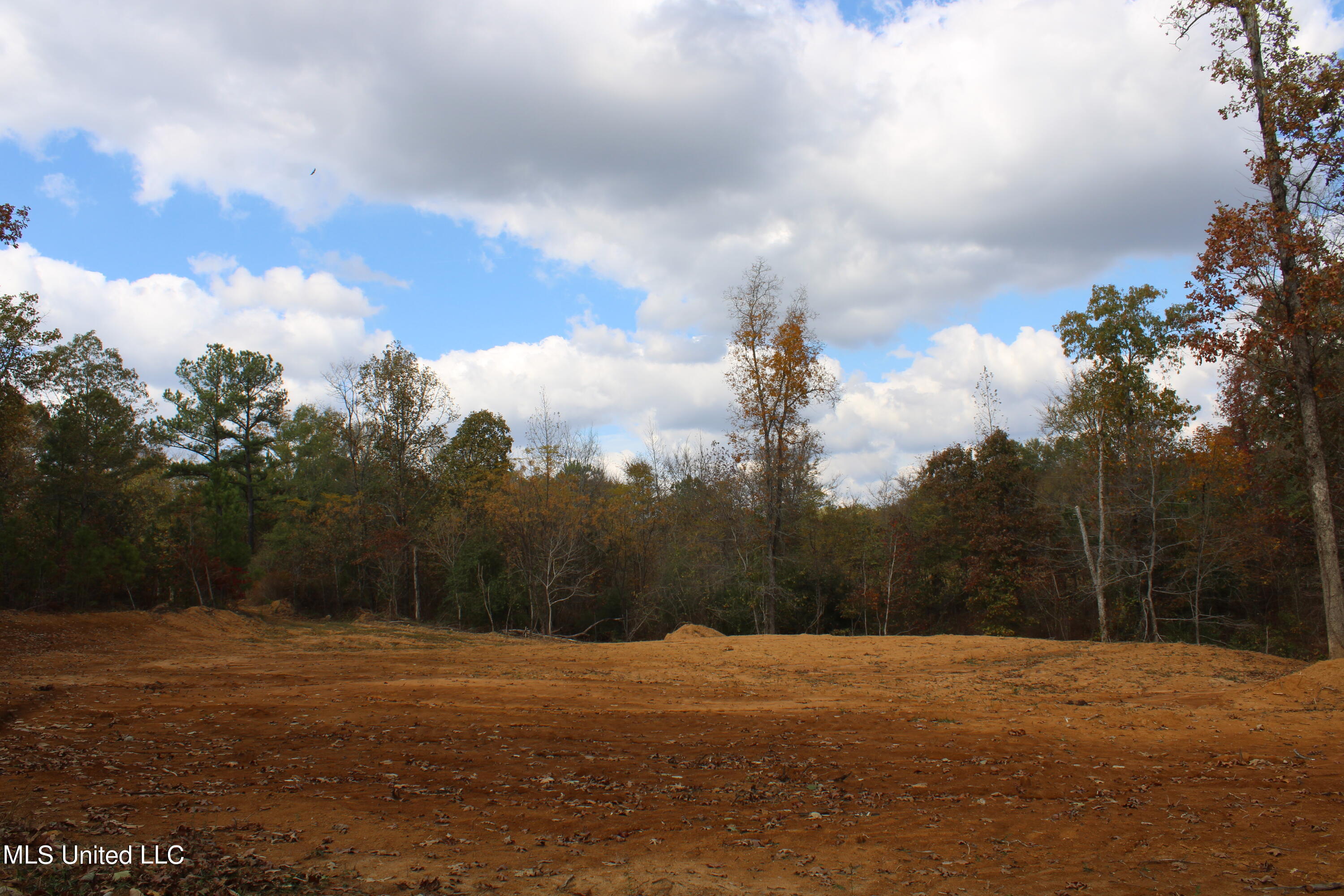 640 Atway Road Lamar, MS 38642 - Photo 8 of 14 IMG_0286