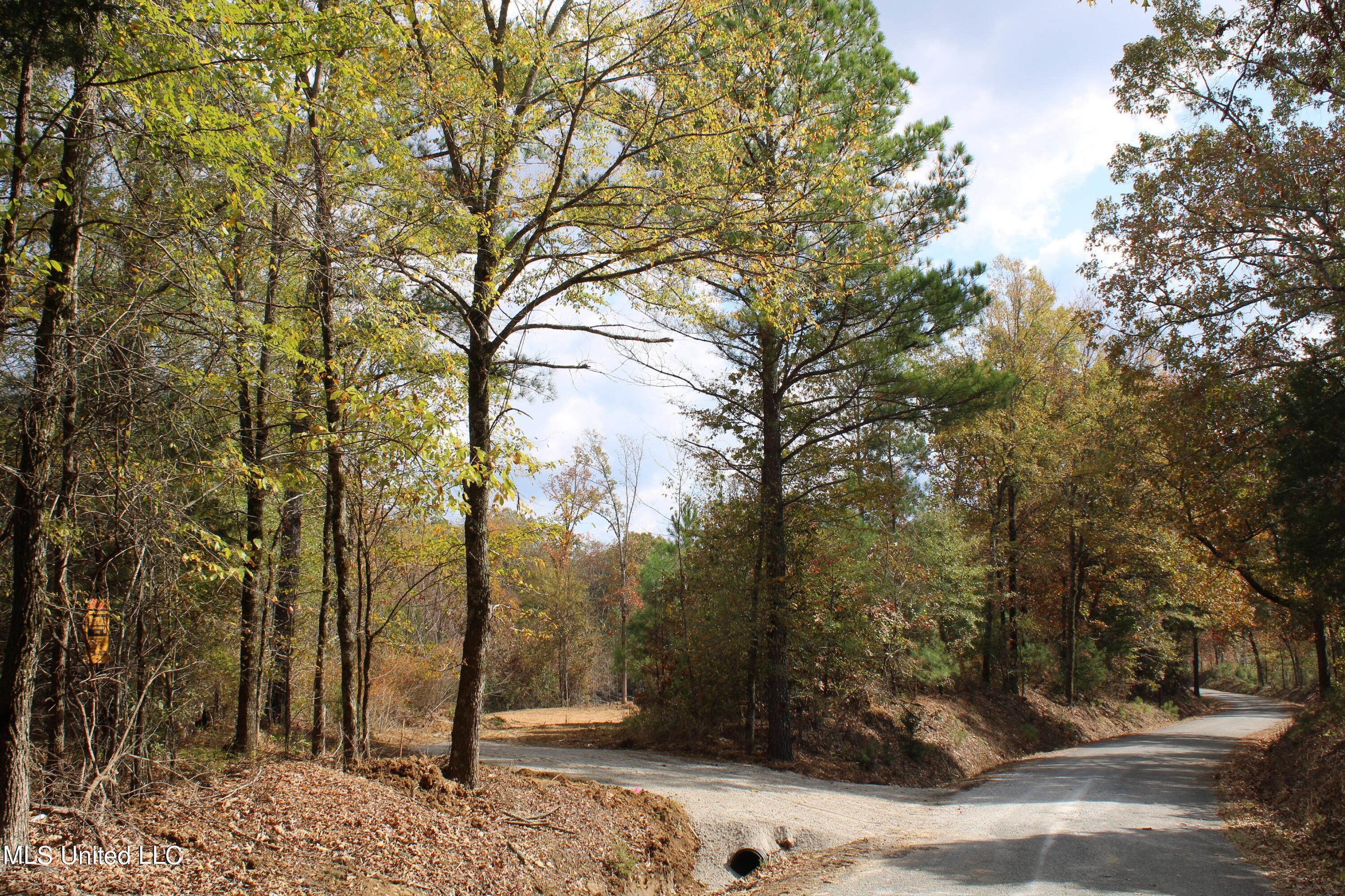 640 Atway Road Lamar, MS 38642 - Photo 10 of 14 IMG_0277