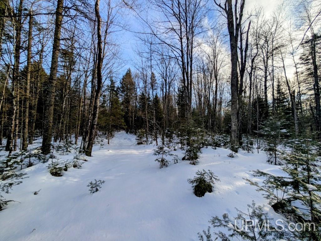 4500 Rd Watersmeet Mi 49969 Road Trout Creek, MI 49967 - Photo 5 of 17