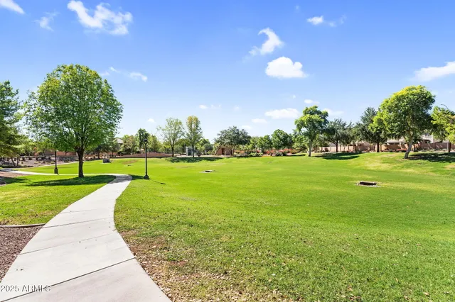 a view of a park with large trees