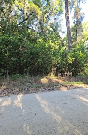 $25,000 | Southeast 28th Court, Summerfield, FL 34491