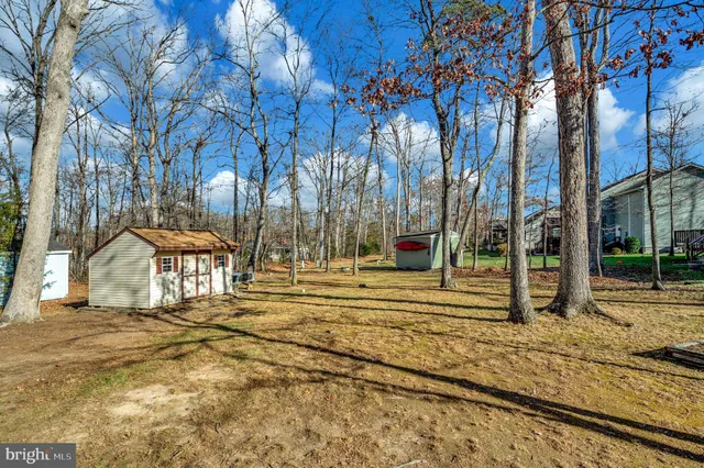 a view of a yard with tree s